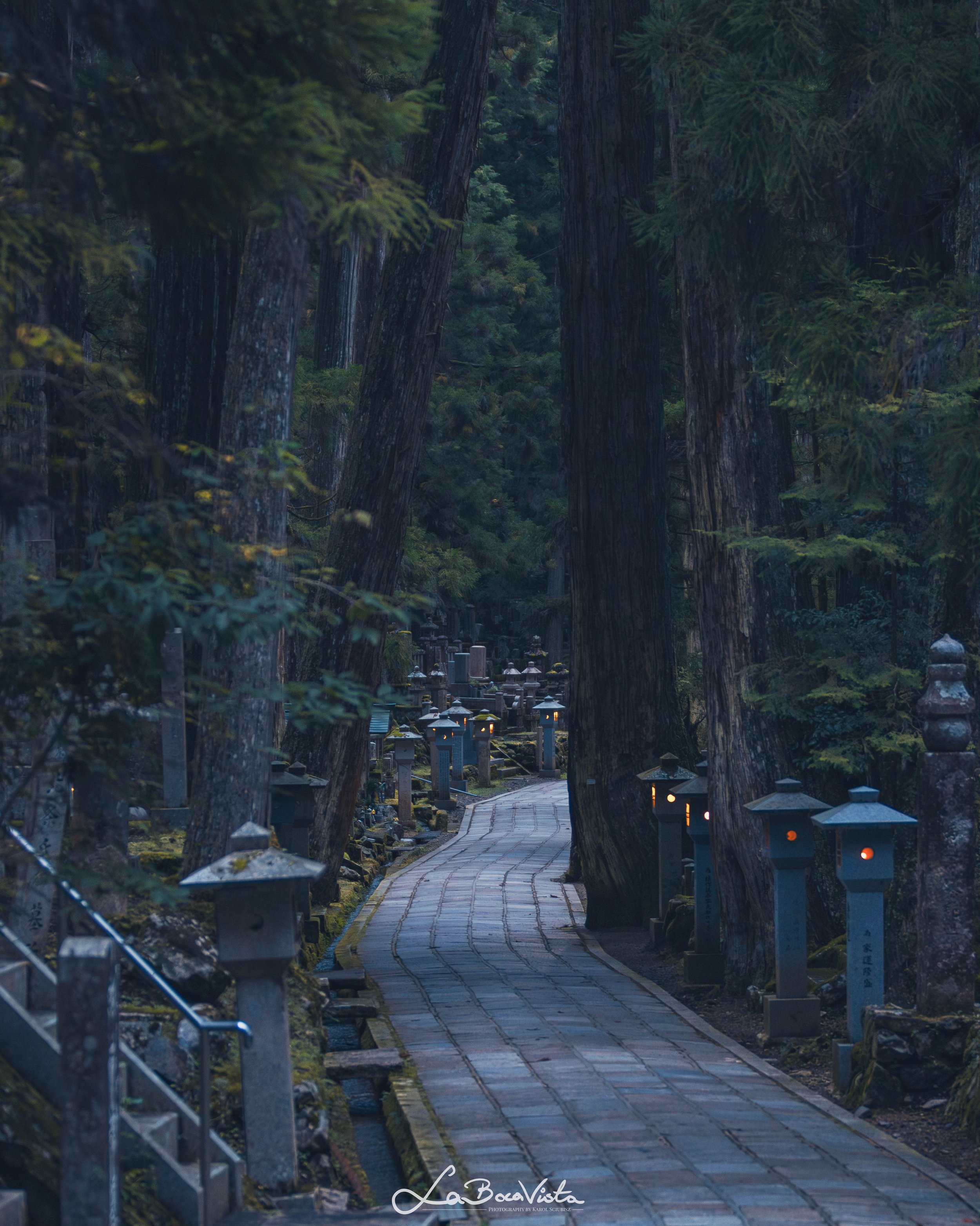 IMG_7466-Enhanced-NR_koyasan.jpg