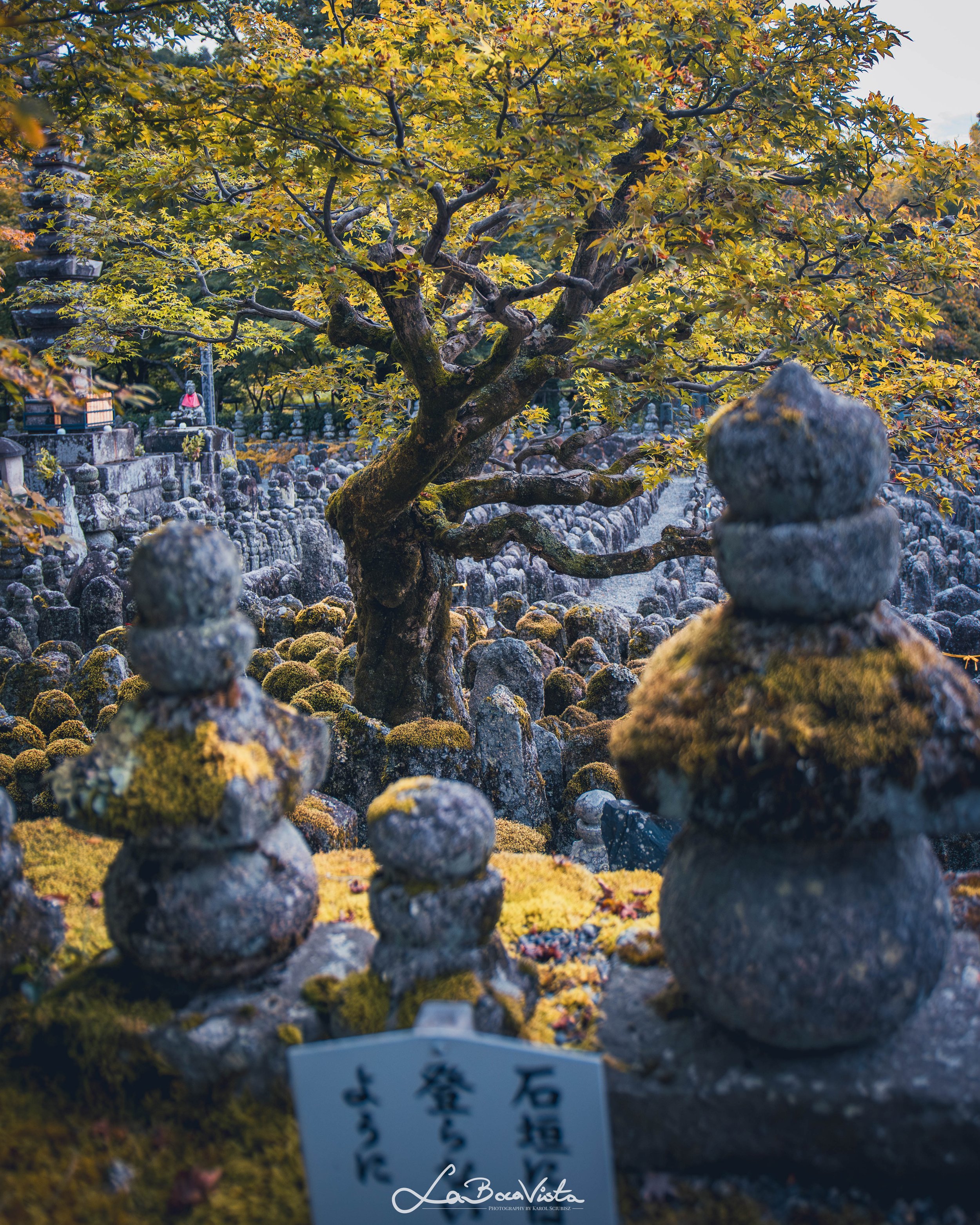 Copy of IMG_5457-Enhanced-NR_kyoto.jpg