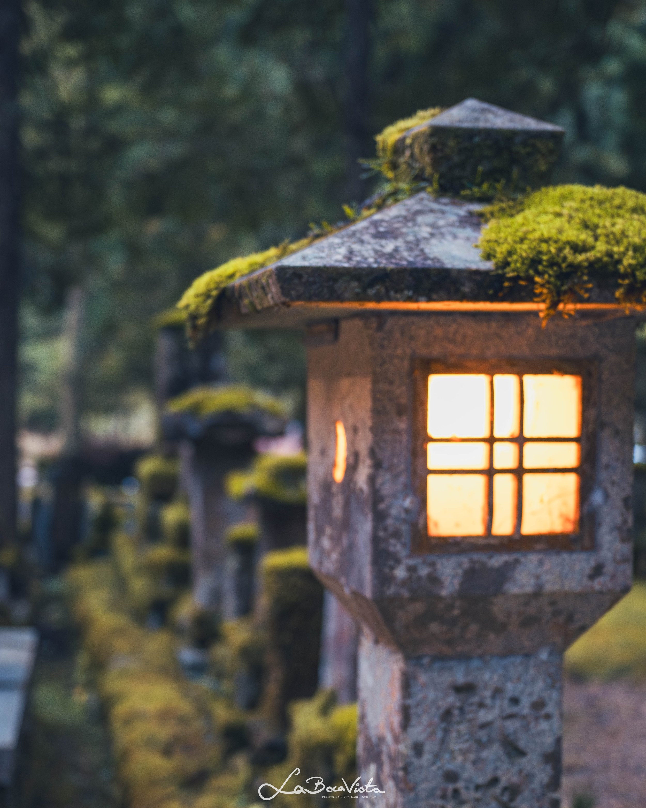 IMG_7483-Enhanced-NR_koyasan.jpg