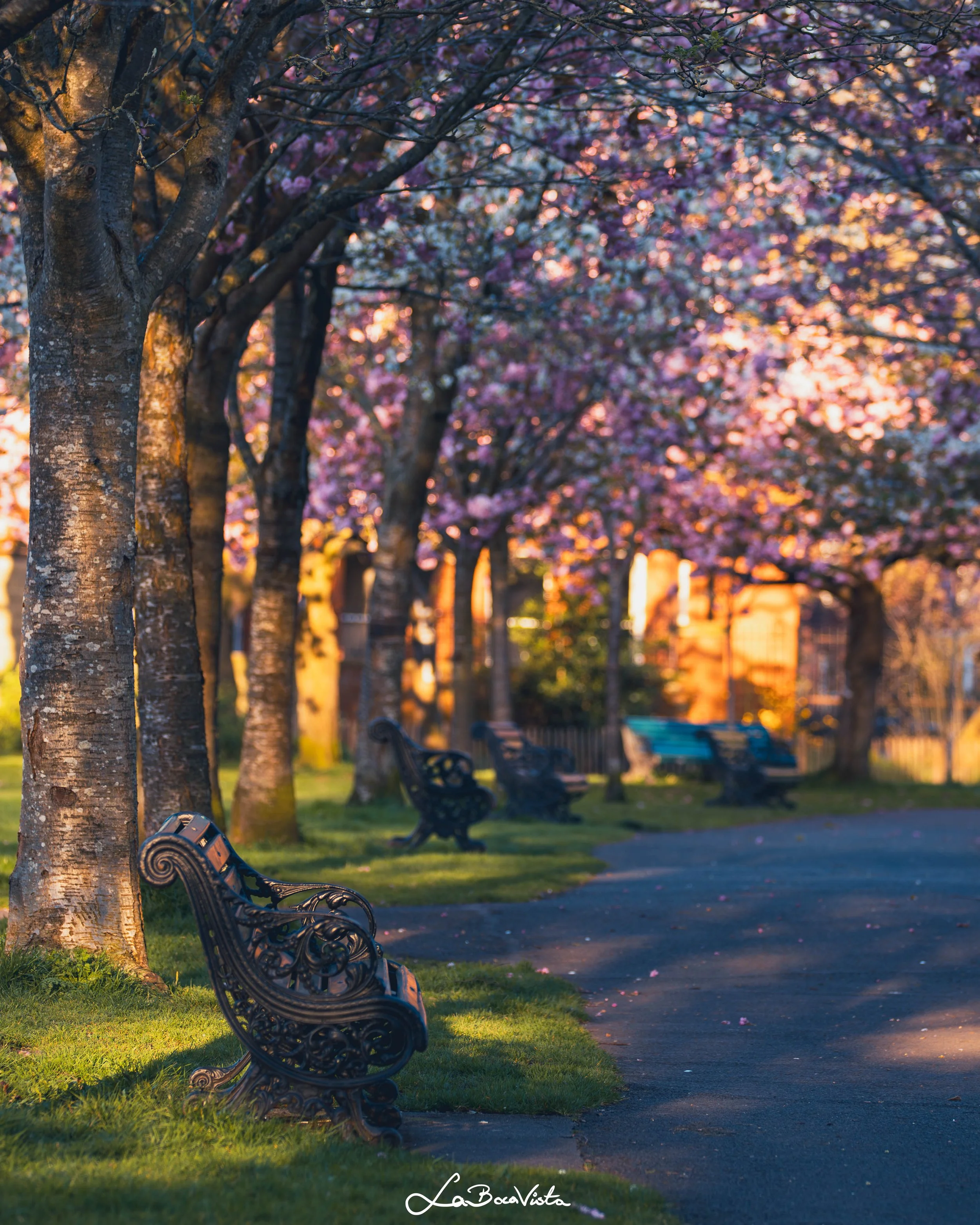 HerbertPark_05.jpg