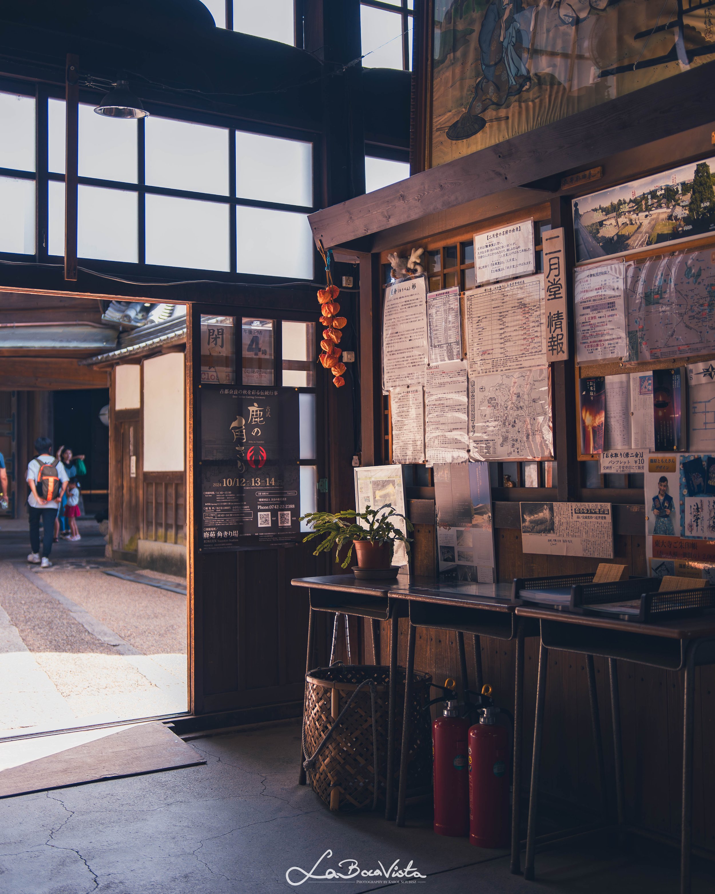 IMG_2865-Enhanced-NR_nara.jpg
