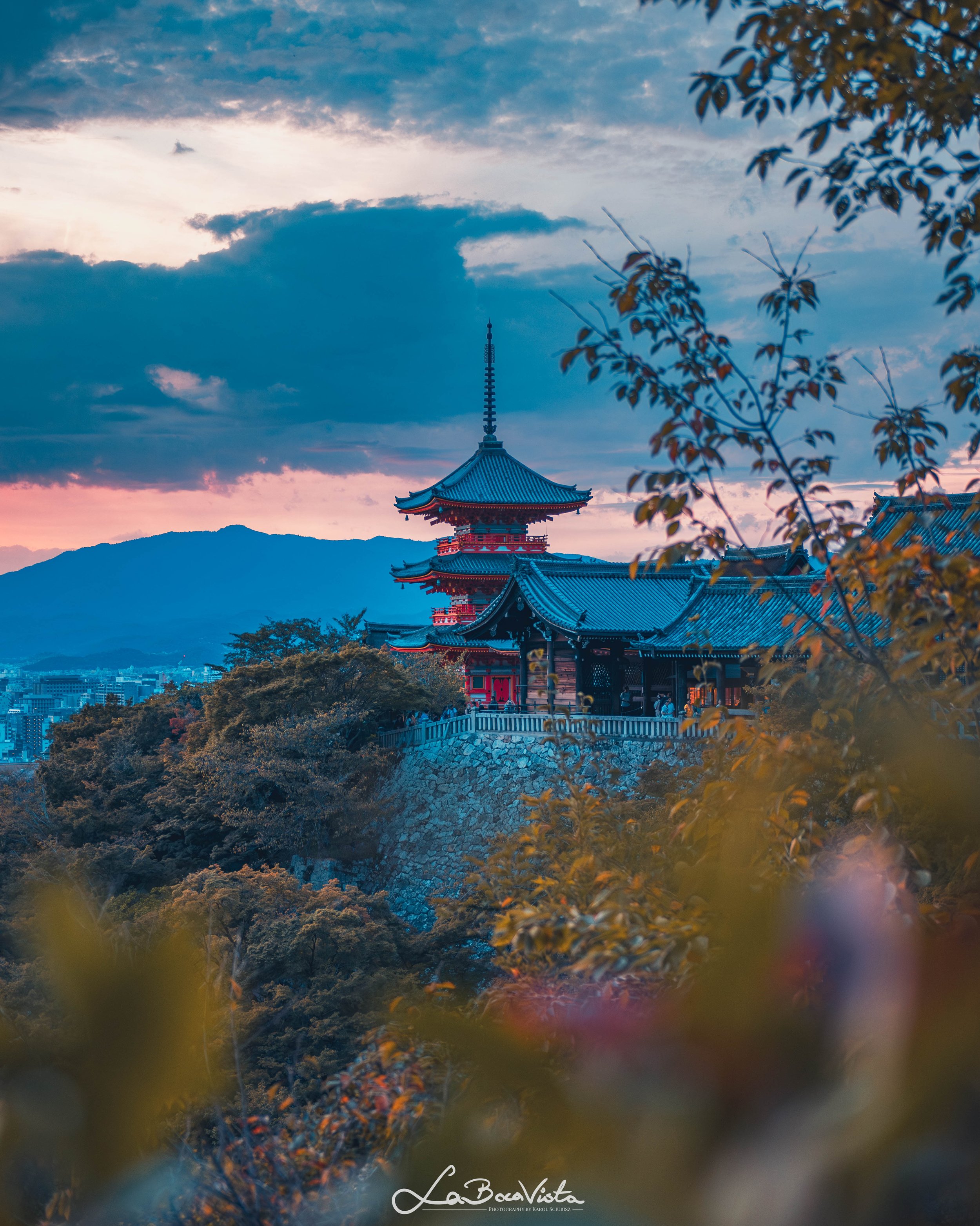 Copy of IMG_4740-Enhanced-NR_kyoto.jpg