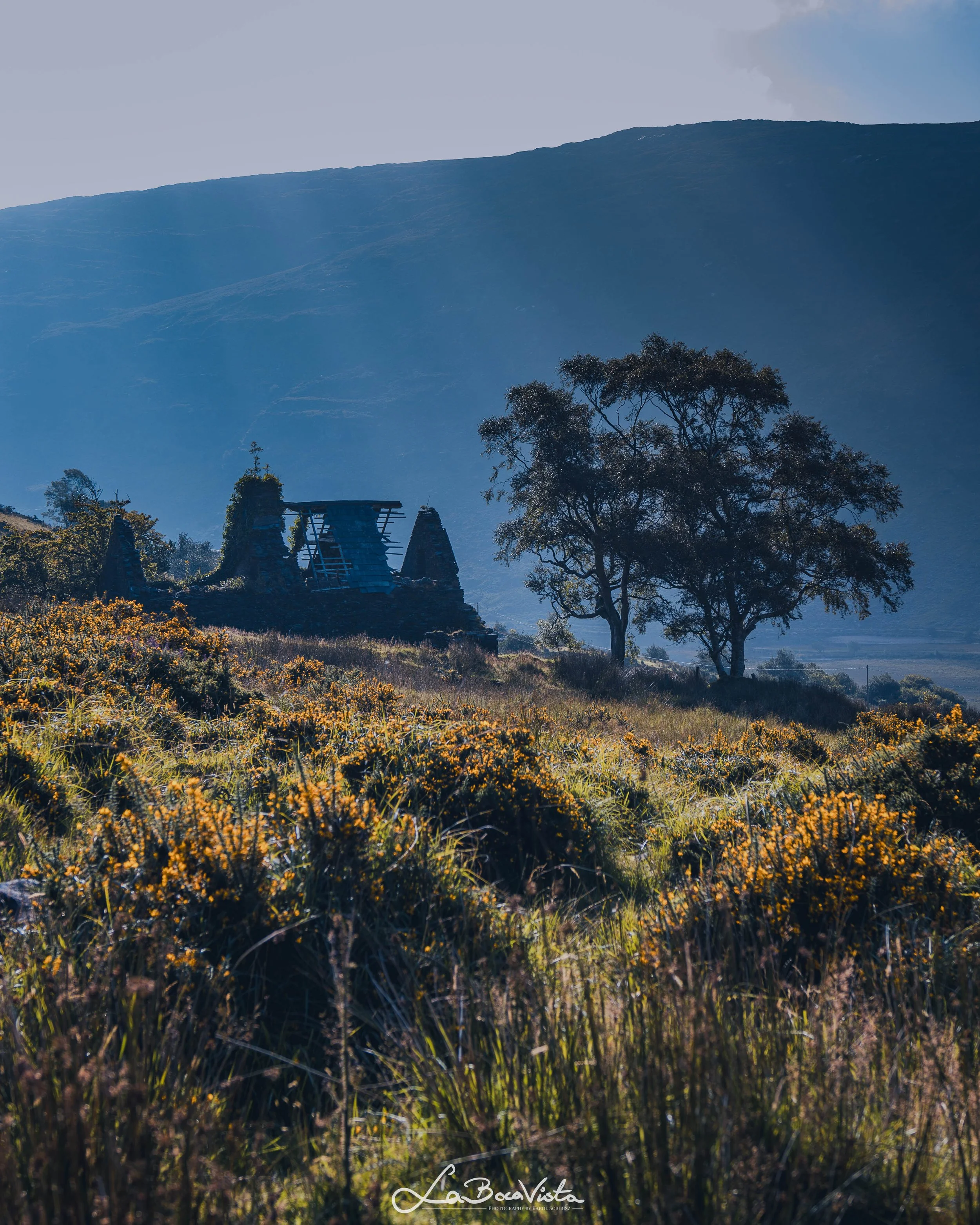 killarney_10.jpg