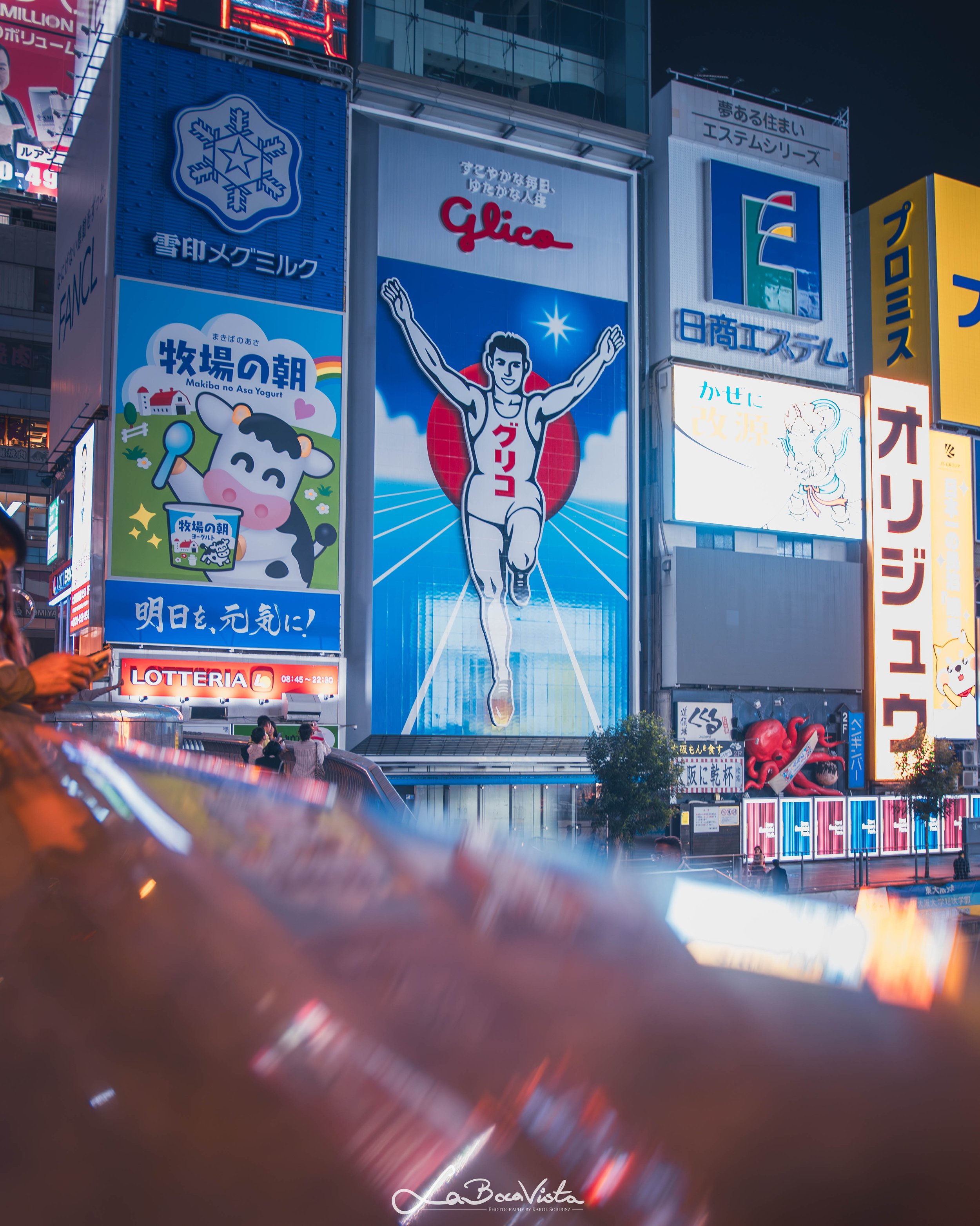 IMG_2325-Enhanced-NR_osaka.jpg