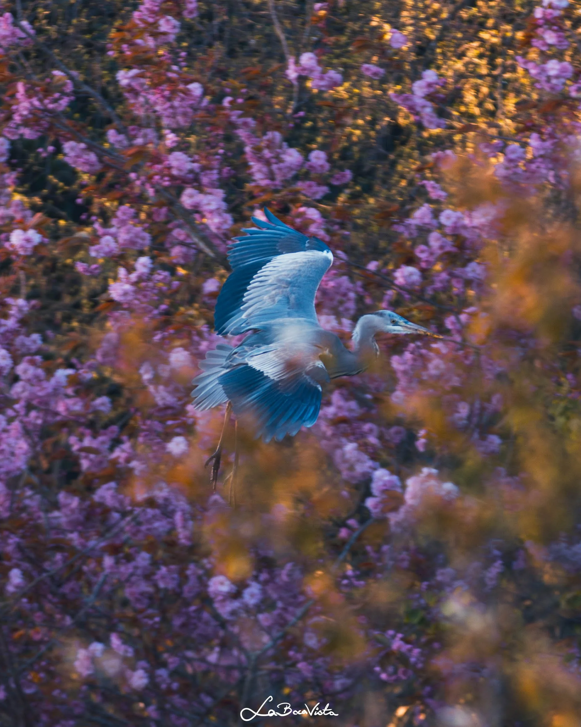 HerbertPark_04.jpg