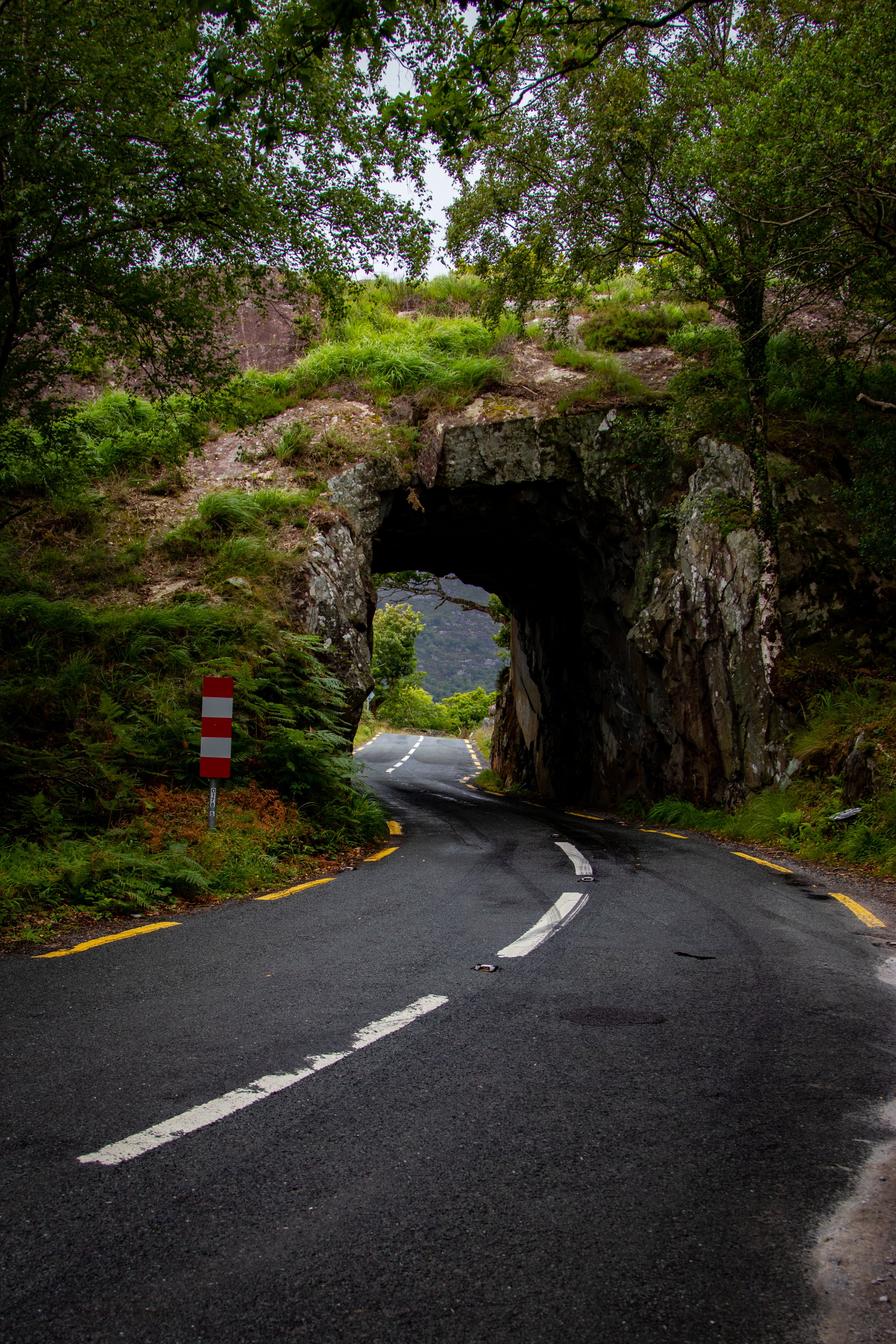 killarney_03.jpg