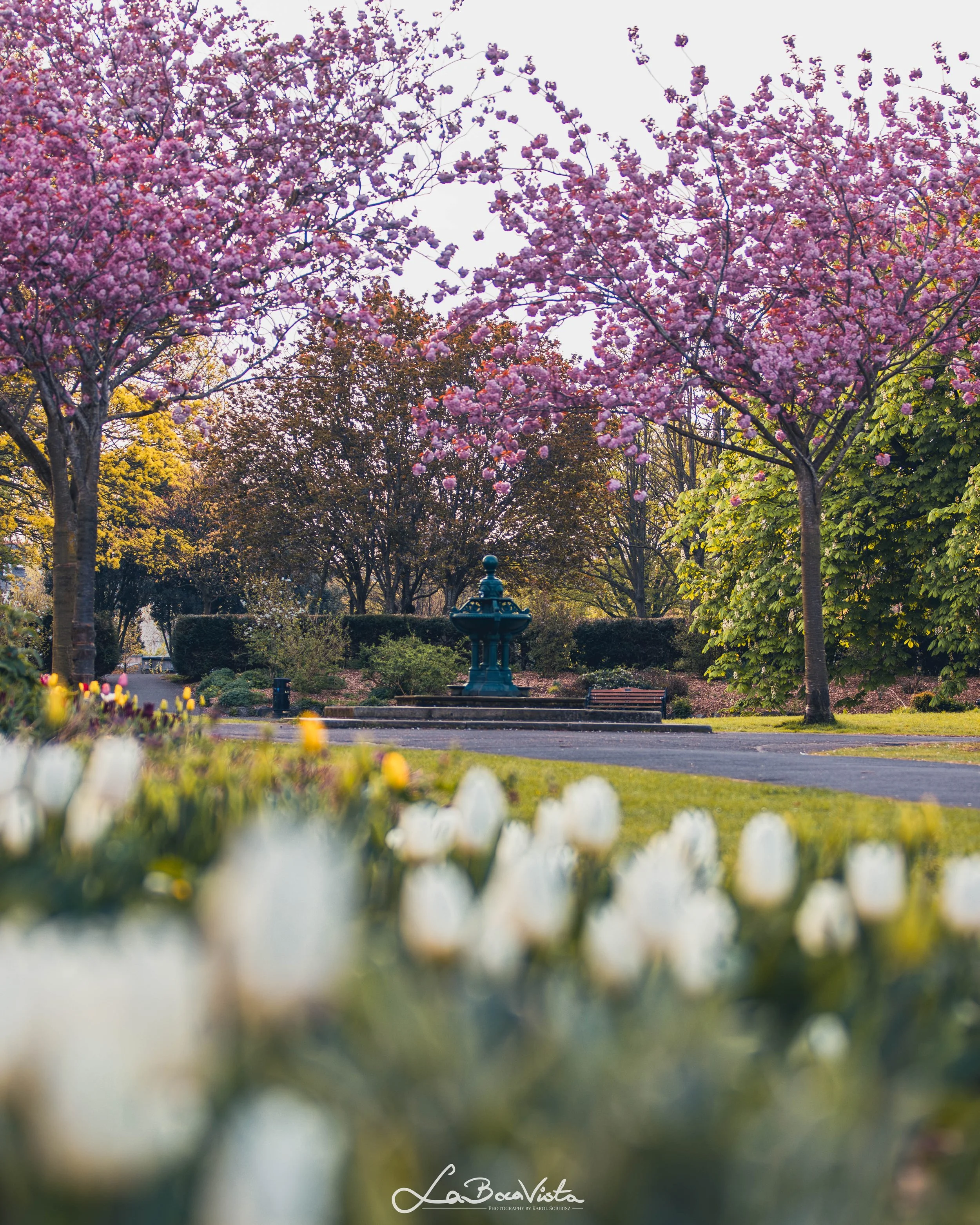 HerbertPark_01.jpg