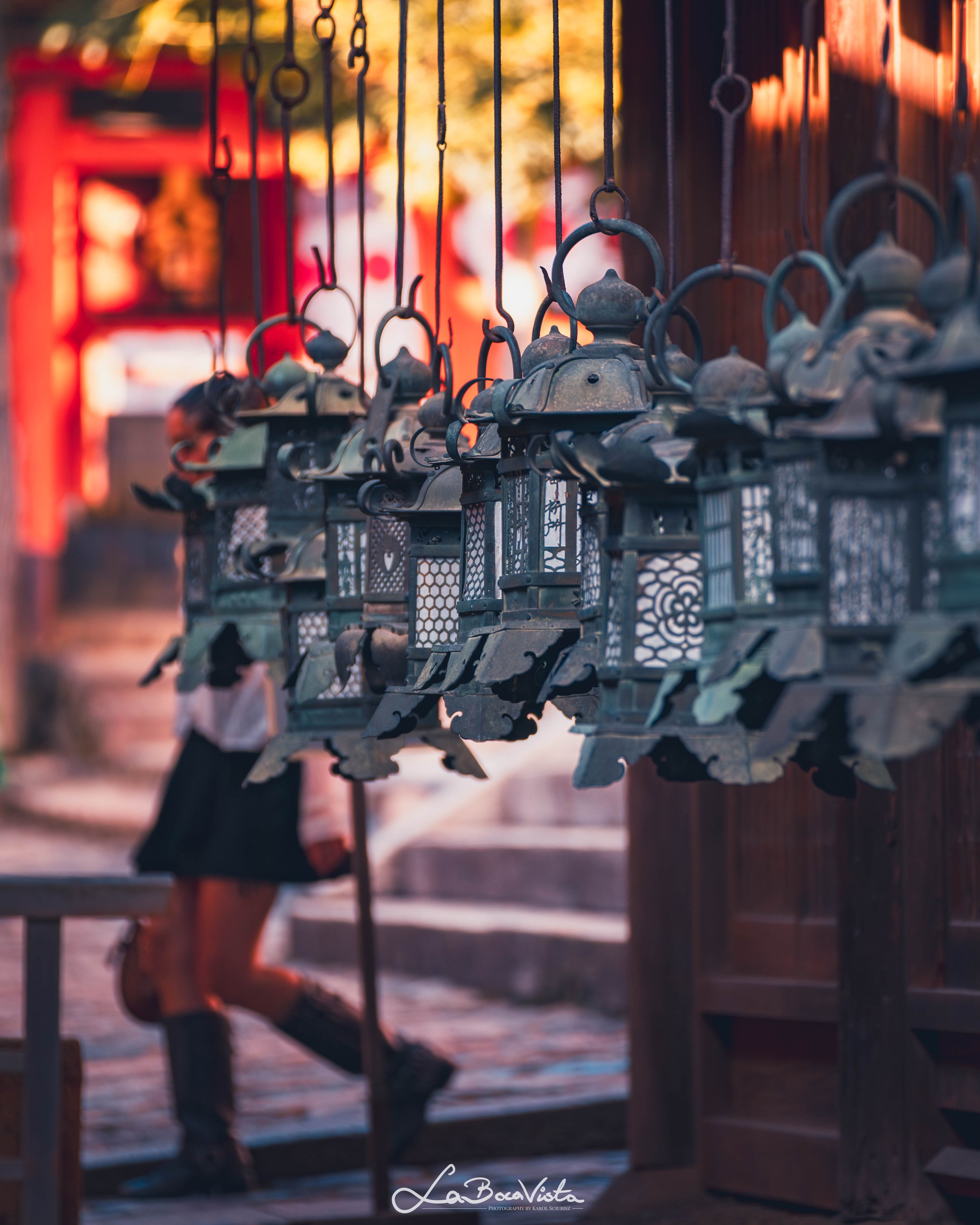 IMG_3162-Enhanced-NR_nara.jpg