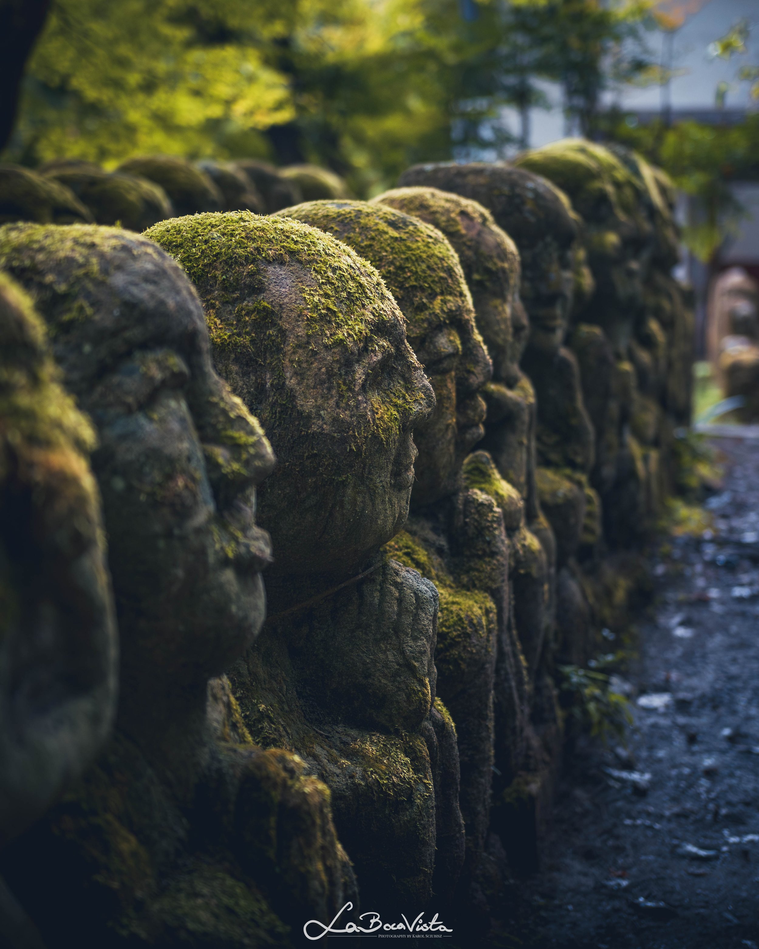 Copy of IMG_5235-Enhanced-NR_kyoto.jpg