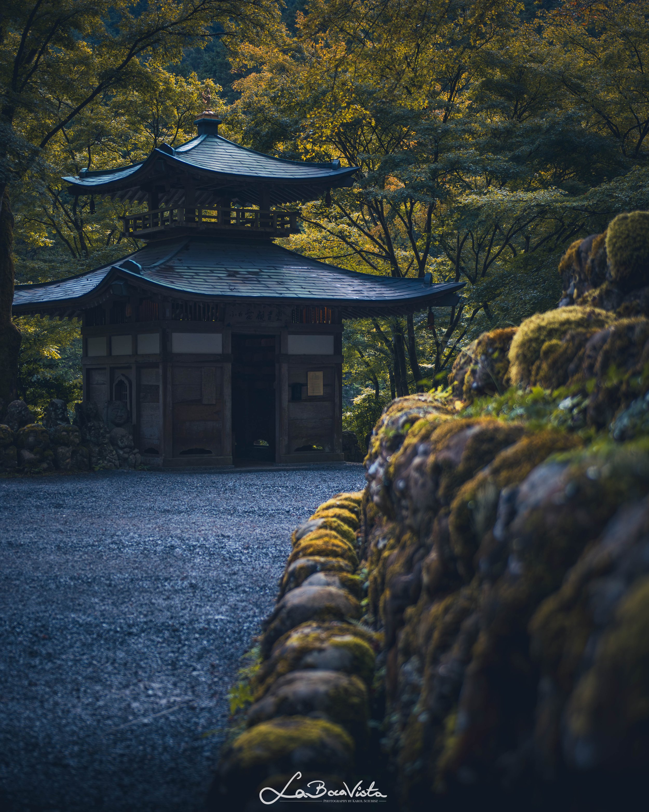 Copy of IMG_5268-Enhanced-NR_kyoto.jpg
