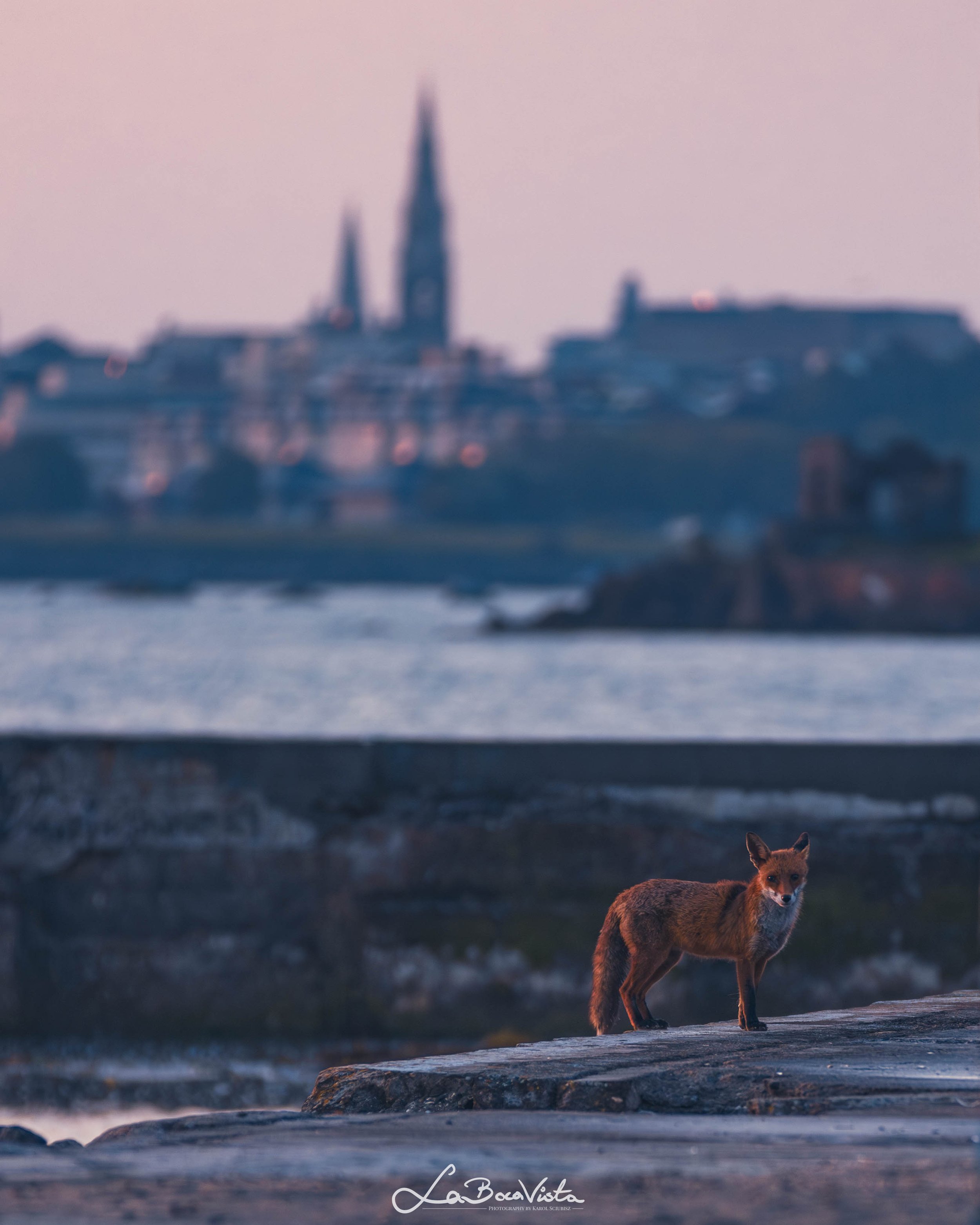 DunLaoghaire_20.jpg