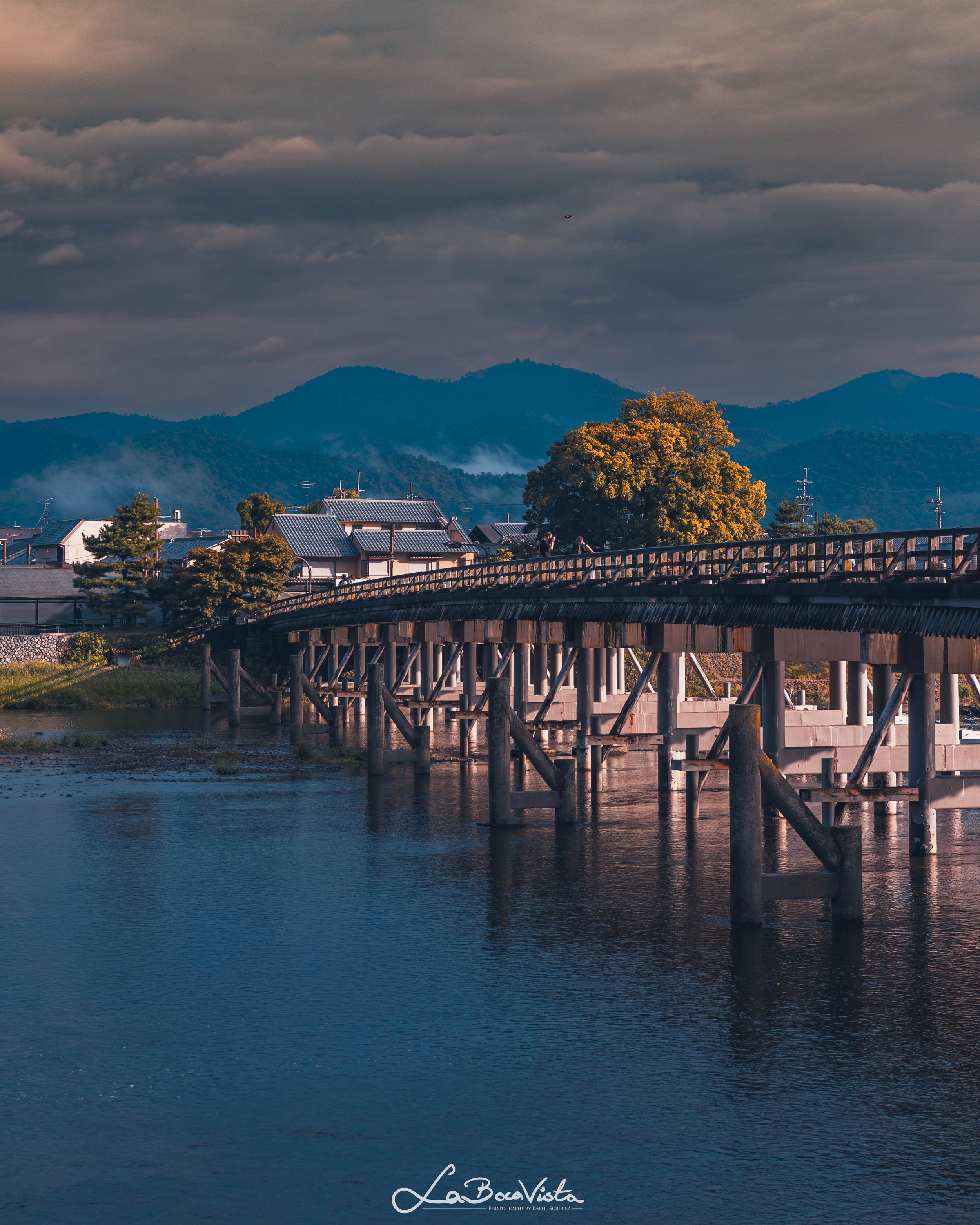 Copy of IMG_4936-Enhanced-NR_kyoto.jpg