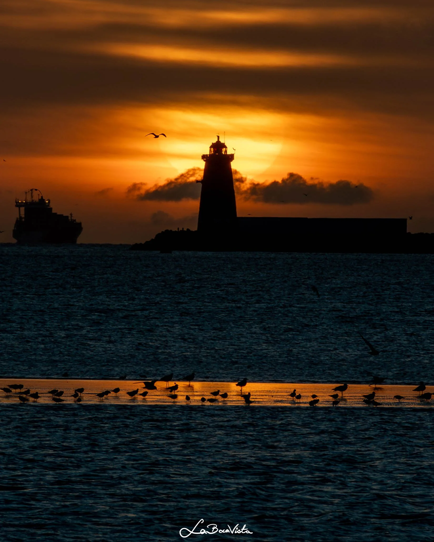 Clontarf_36.jpg