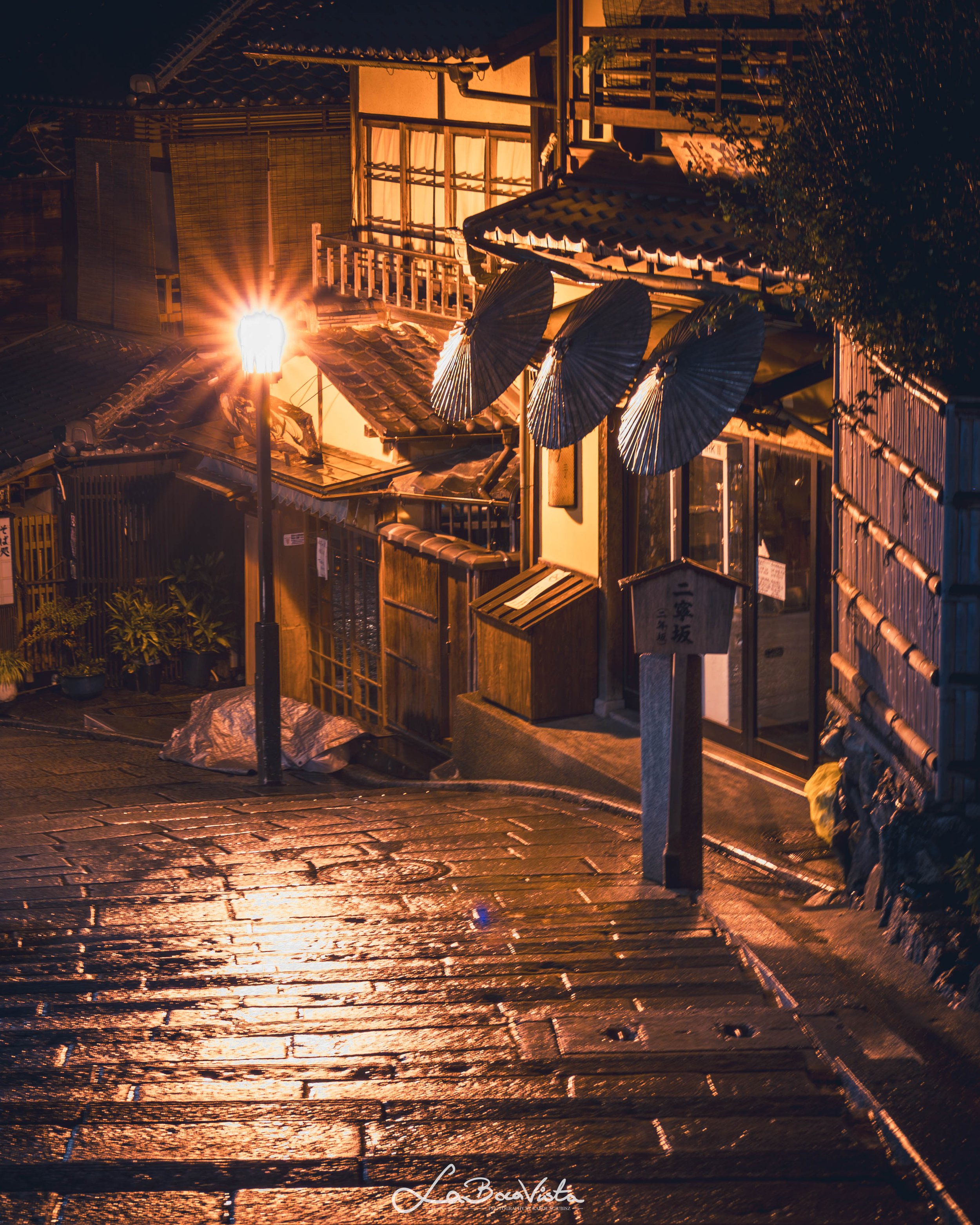 IMG_6840-Enhanced-NR_kyoto.jpg