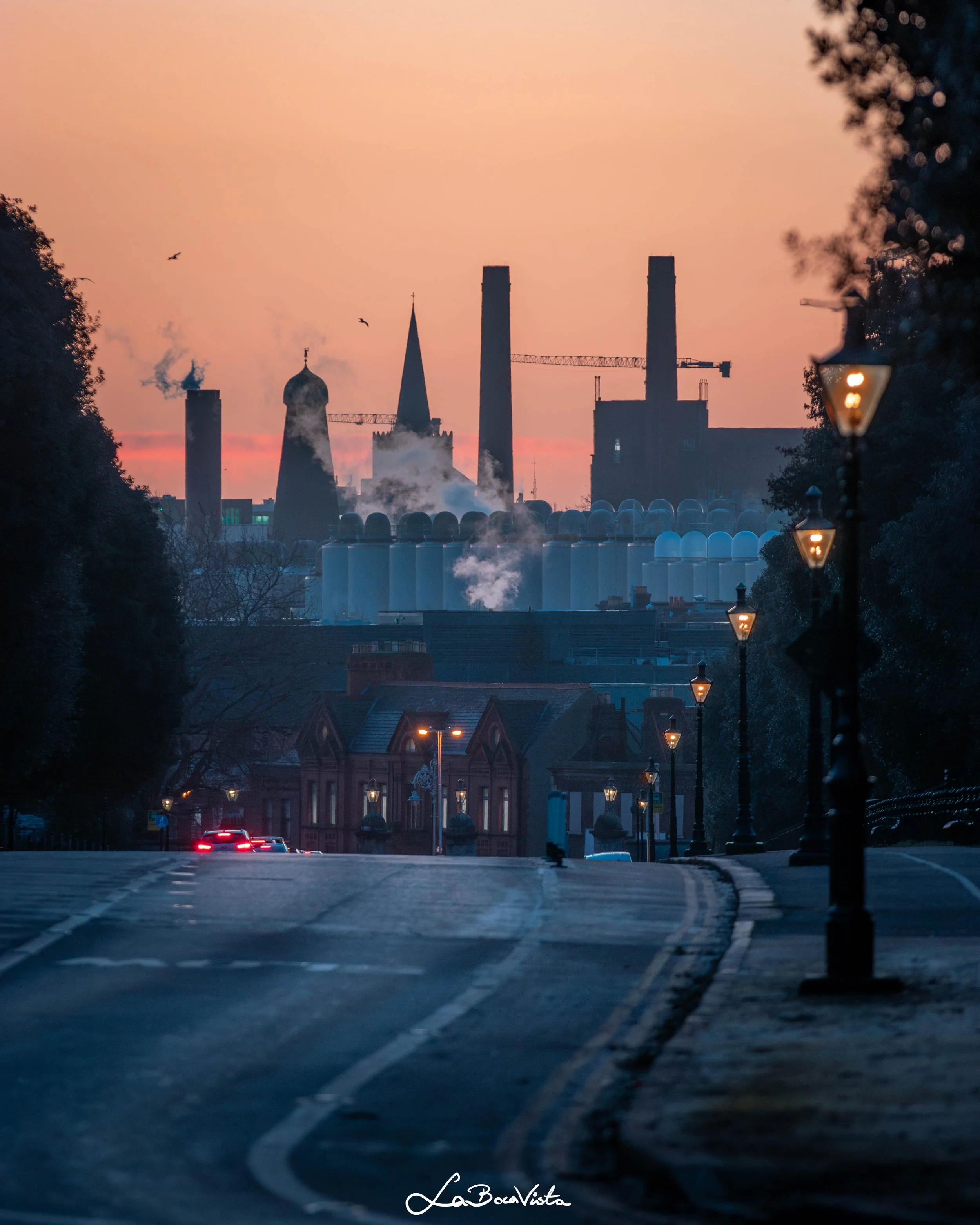 PhoenixPark_31.jpg