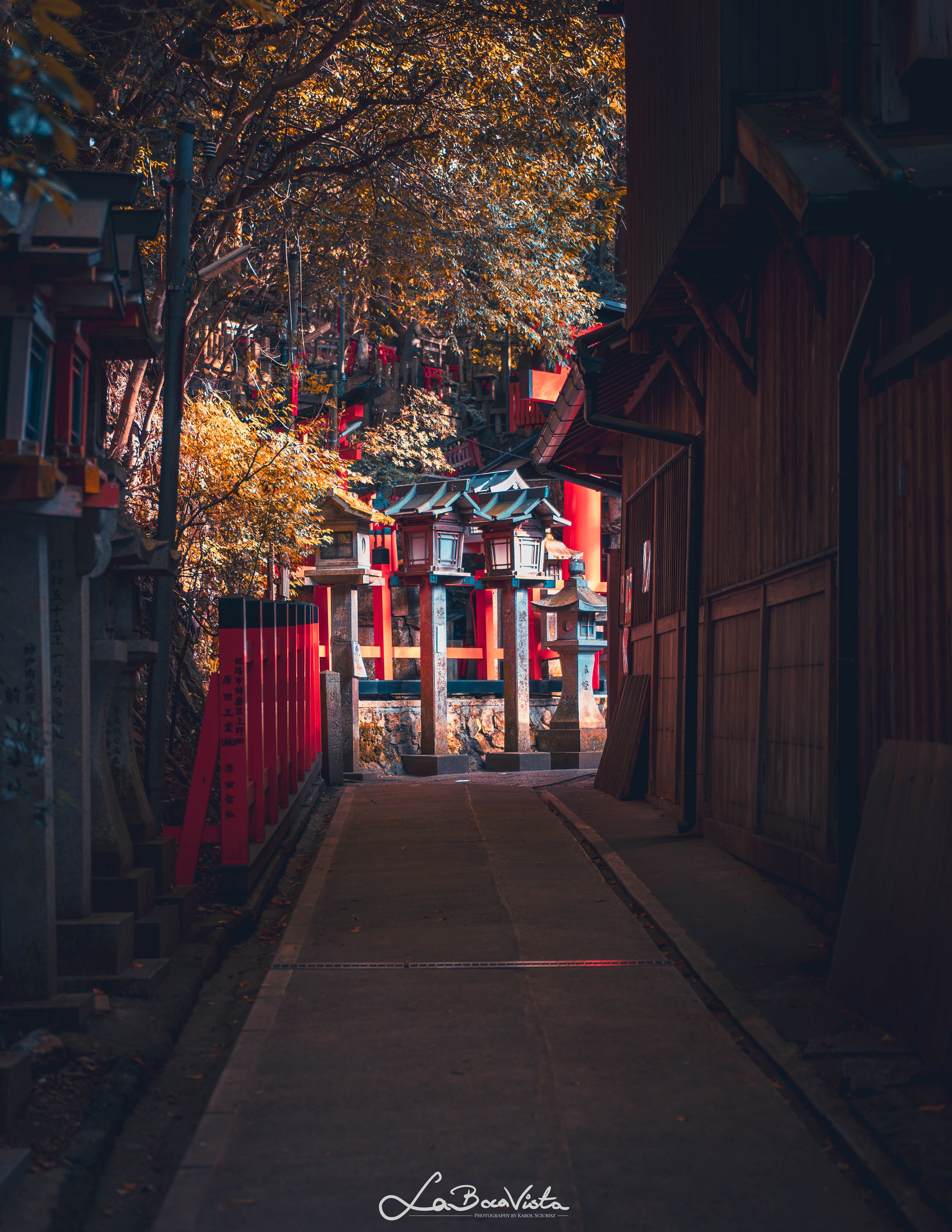 IMG_4309-Enhanced-NR_kyoto.jpg