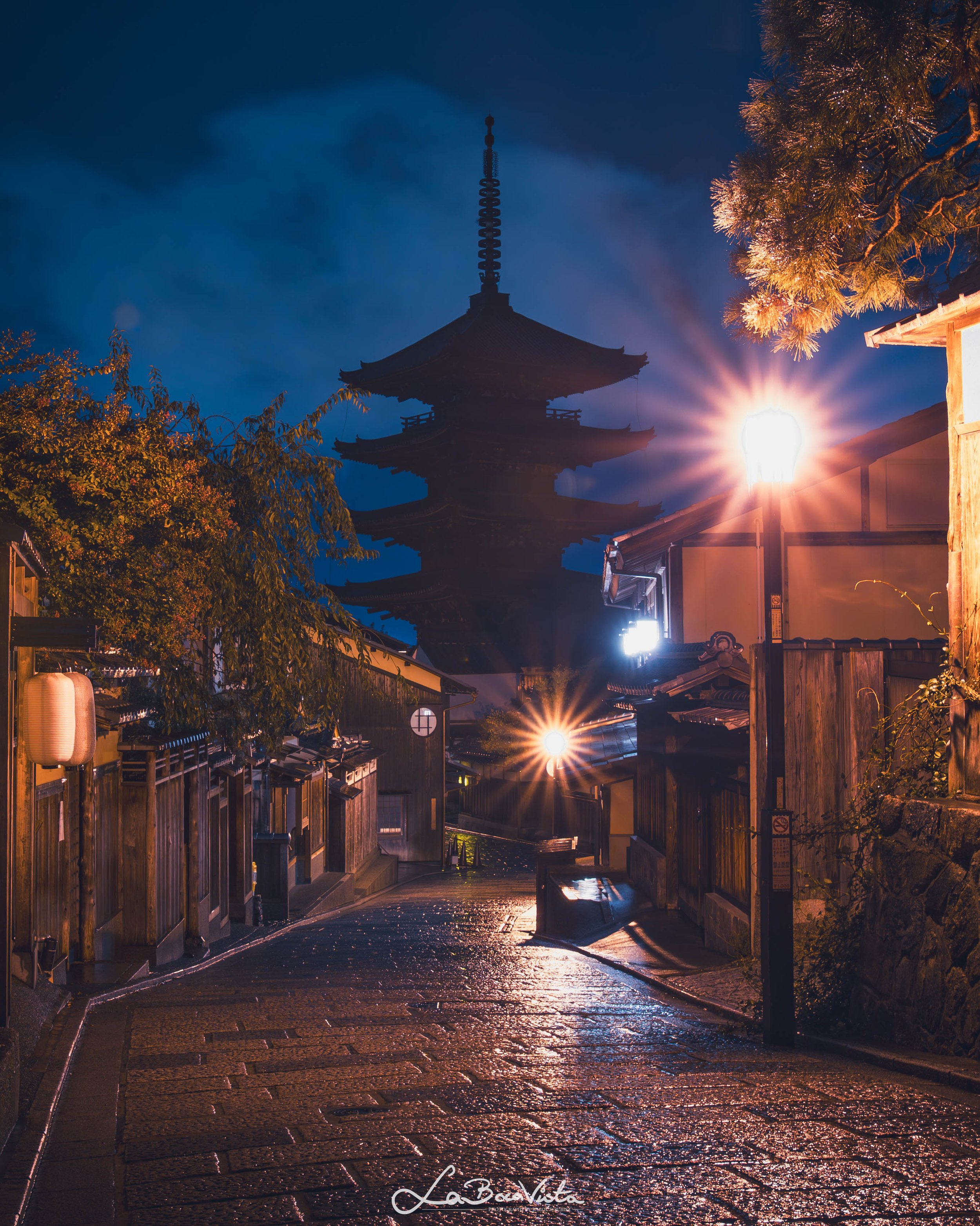 Copy of IMG_6835-Enhanced-NR_kyoto.jpg