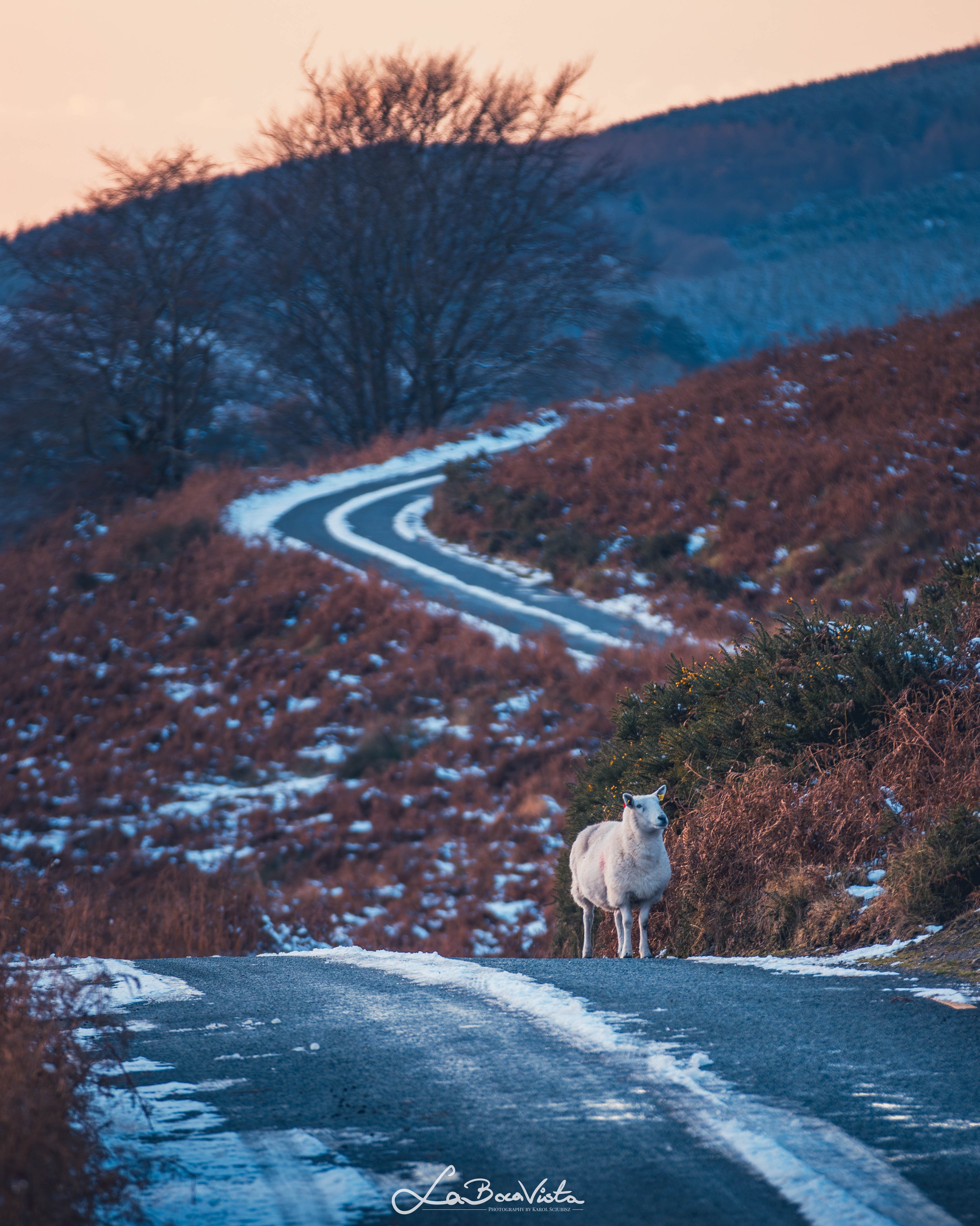 wicklow_19.jpg