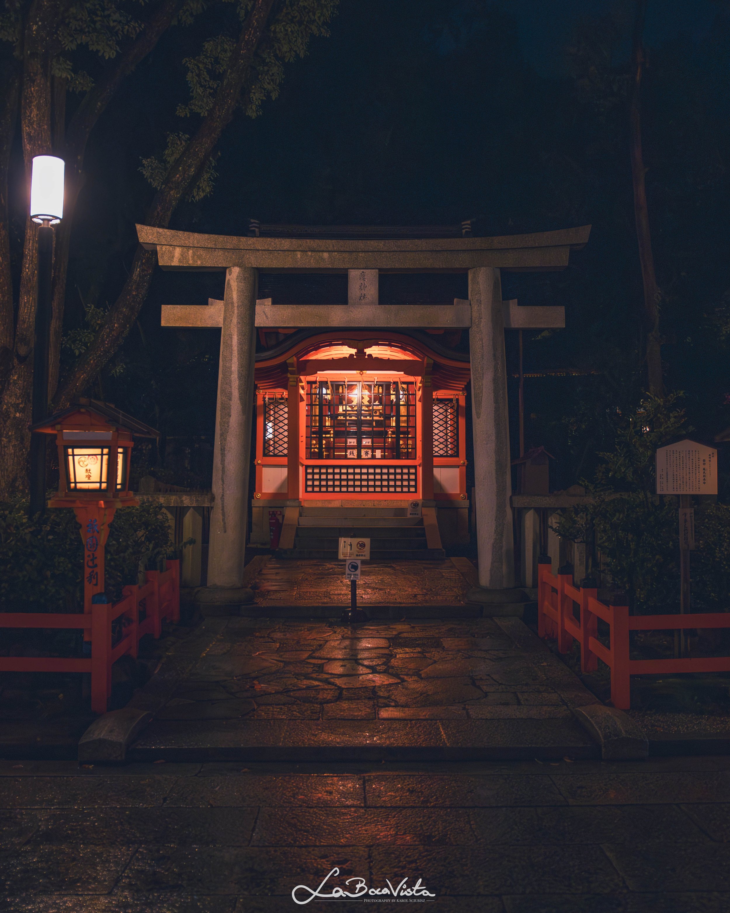 IMG_6032-Enhanced-NR_kyoto.jpg