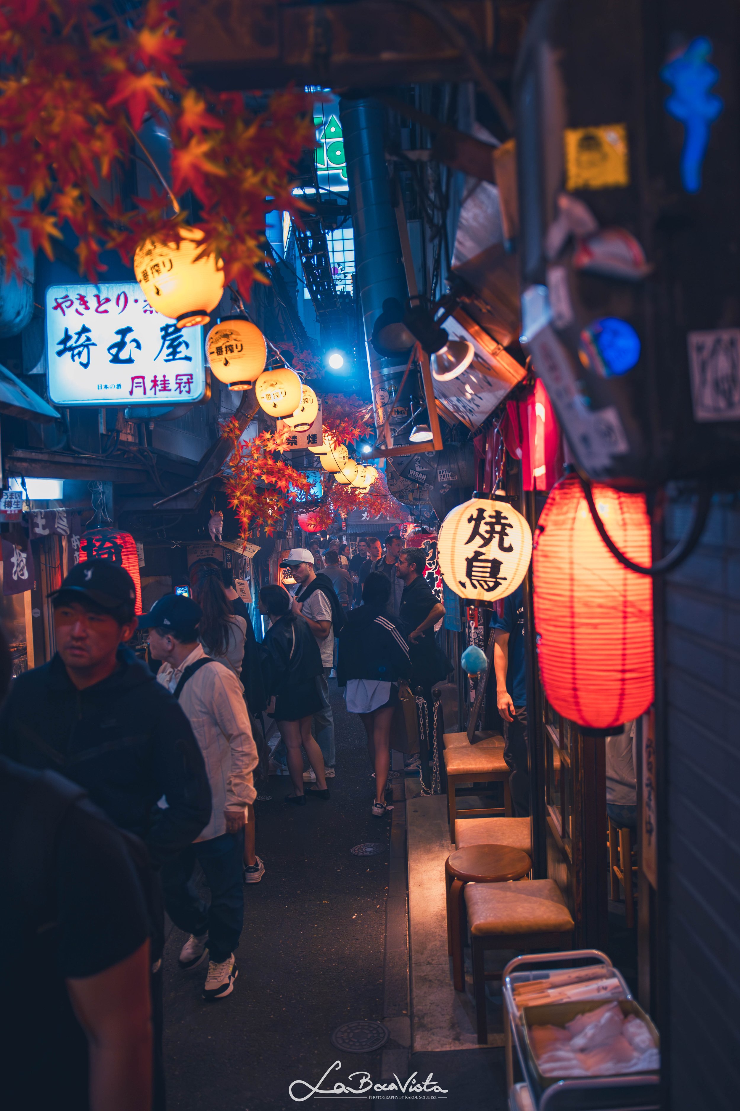 IMG_8300-Enhanced-NR_tokyo.jpg