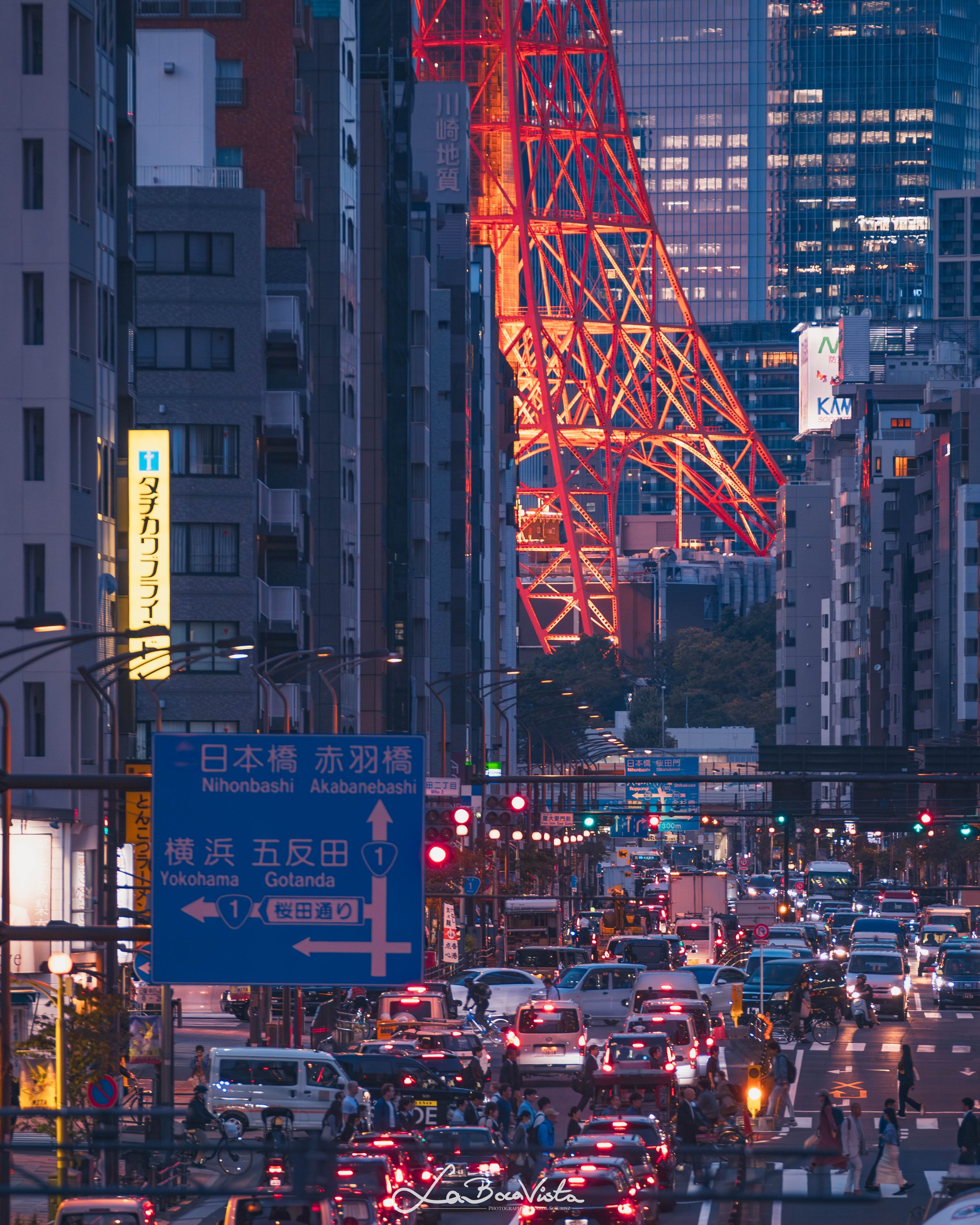 IMG_8107-Enhanced-NR_tokyo.jpg