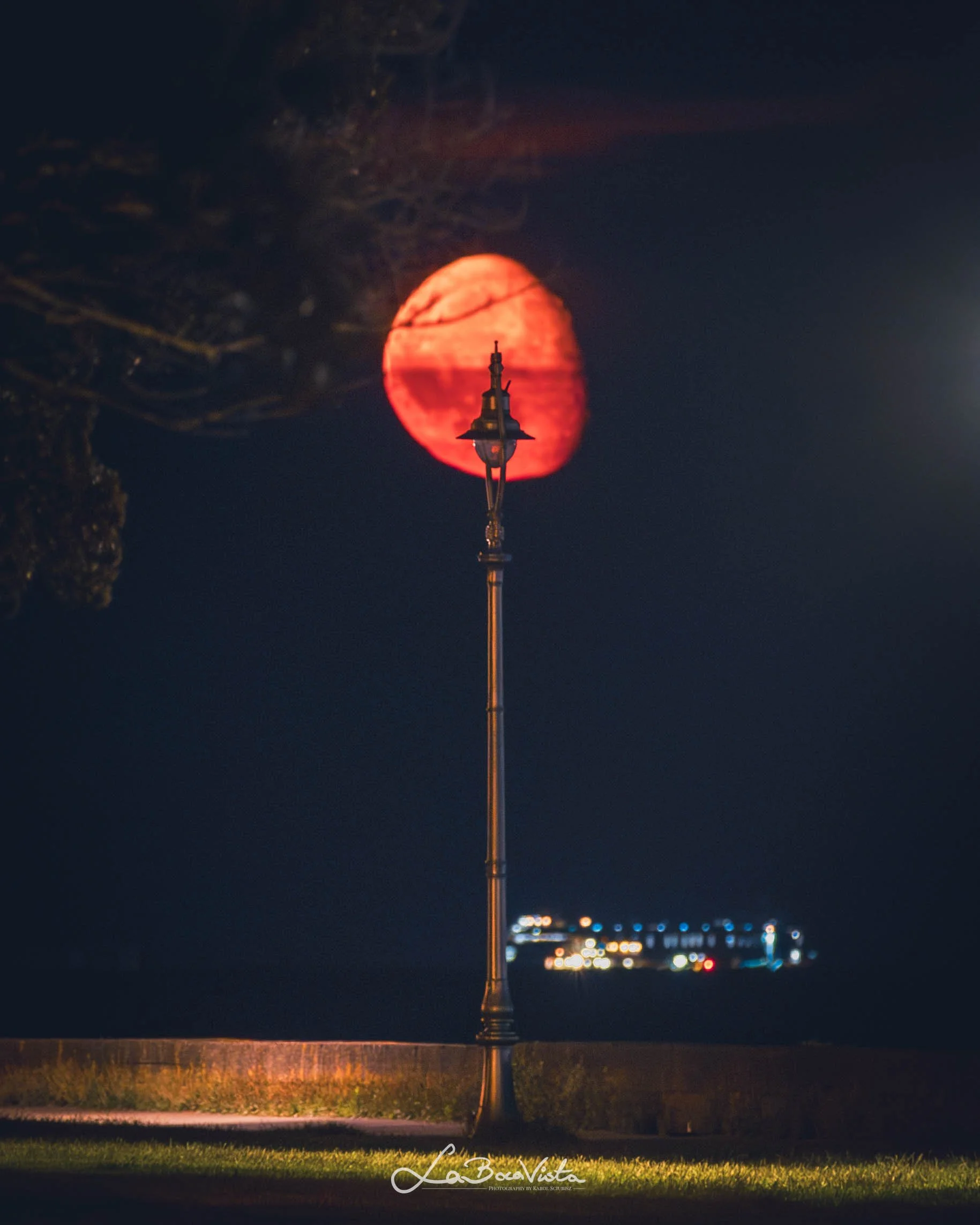 Clontarf_38.jpg