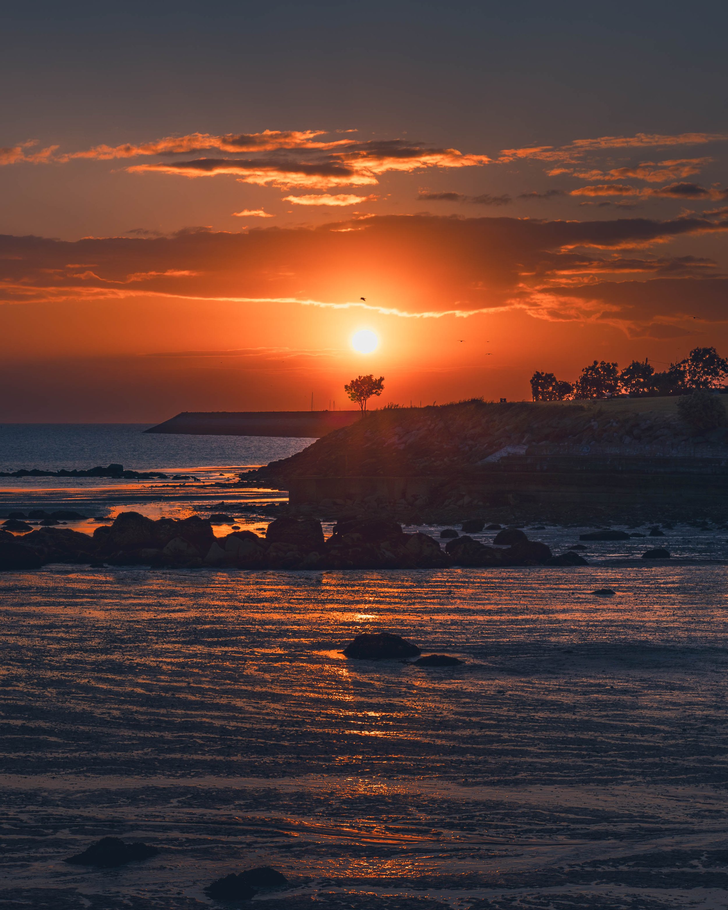DunLaoghaire_17.jpg