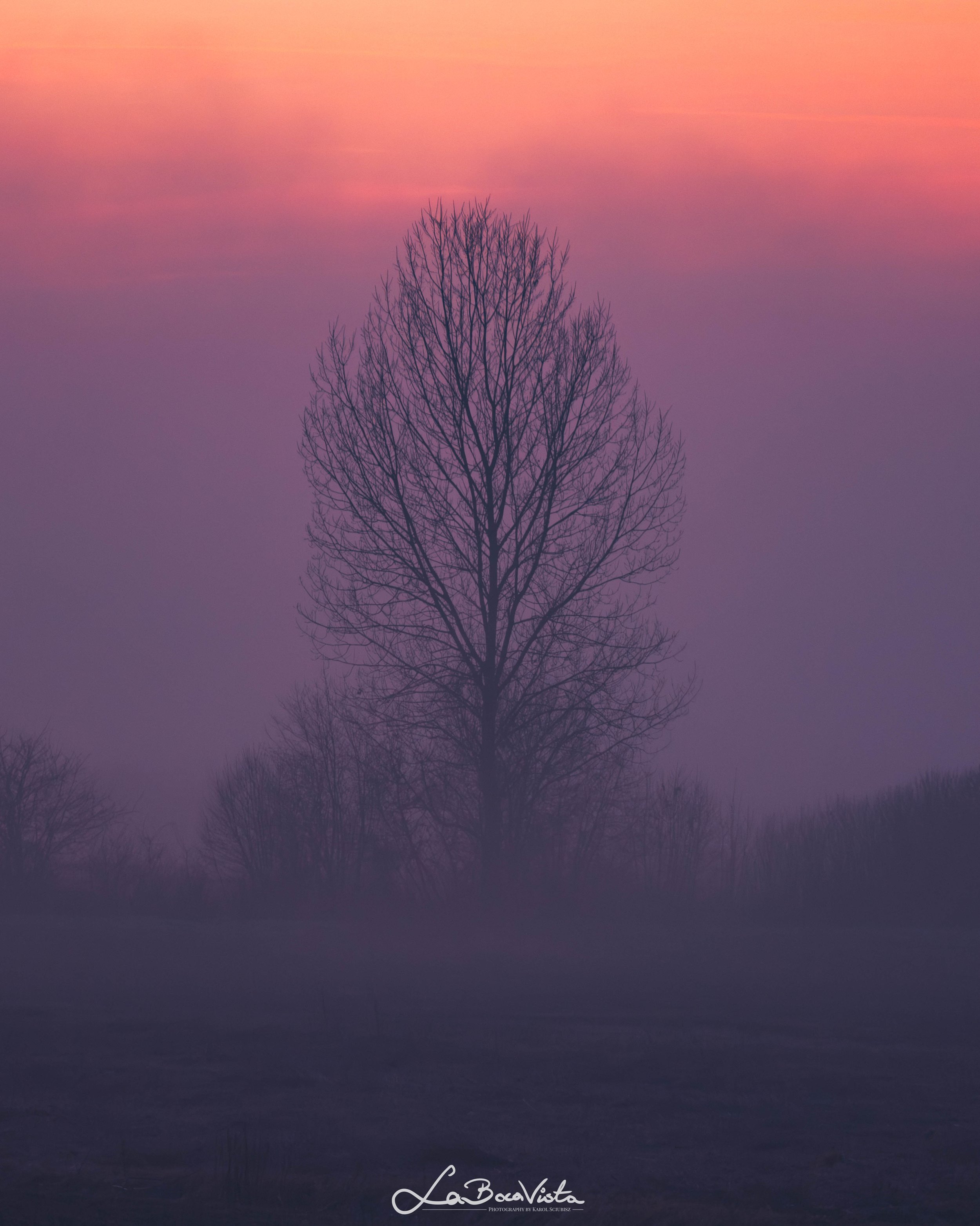 IMG_3358-Enhanced-NR.jpg