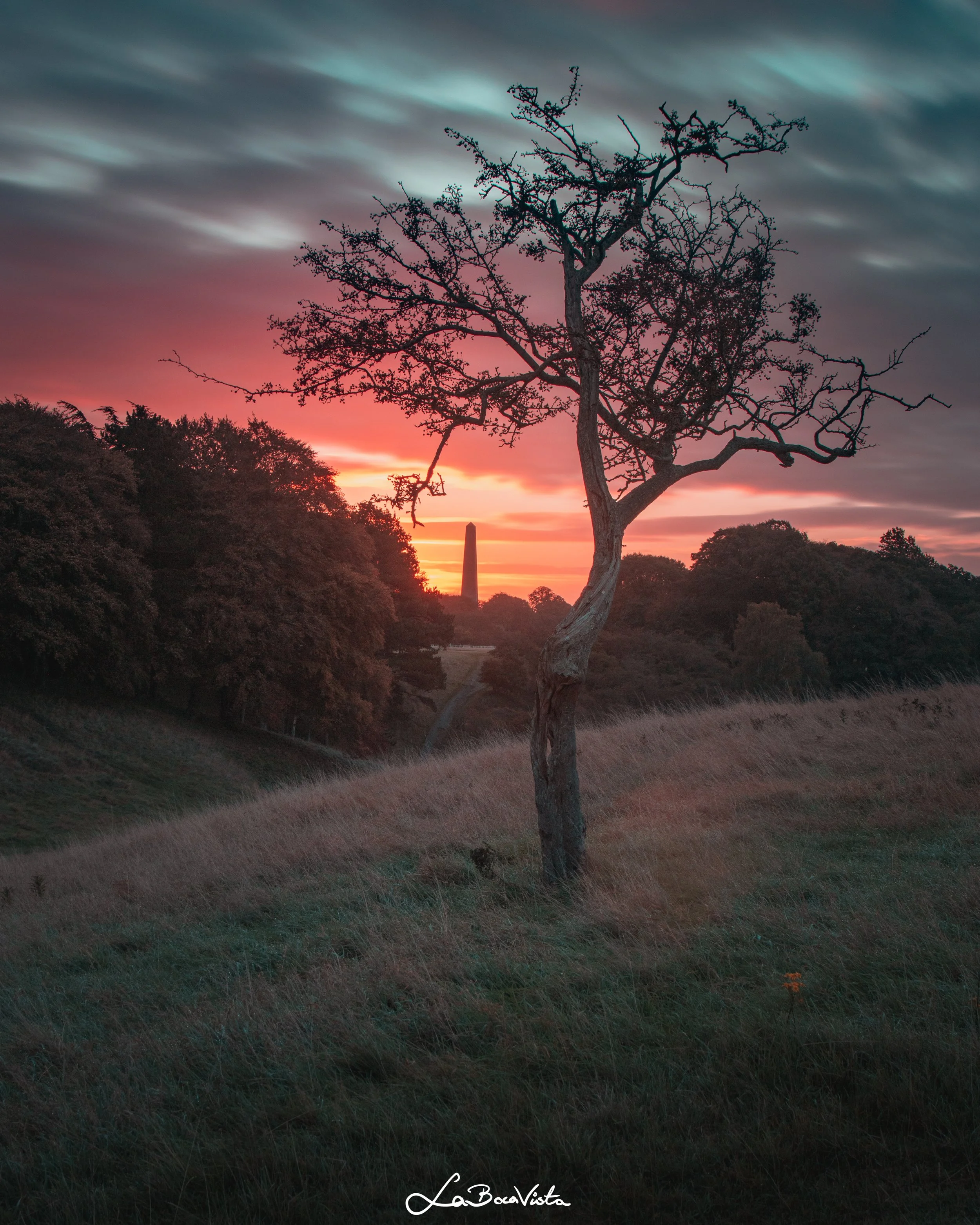 PhoenixPark_27.jpg