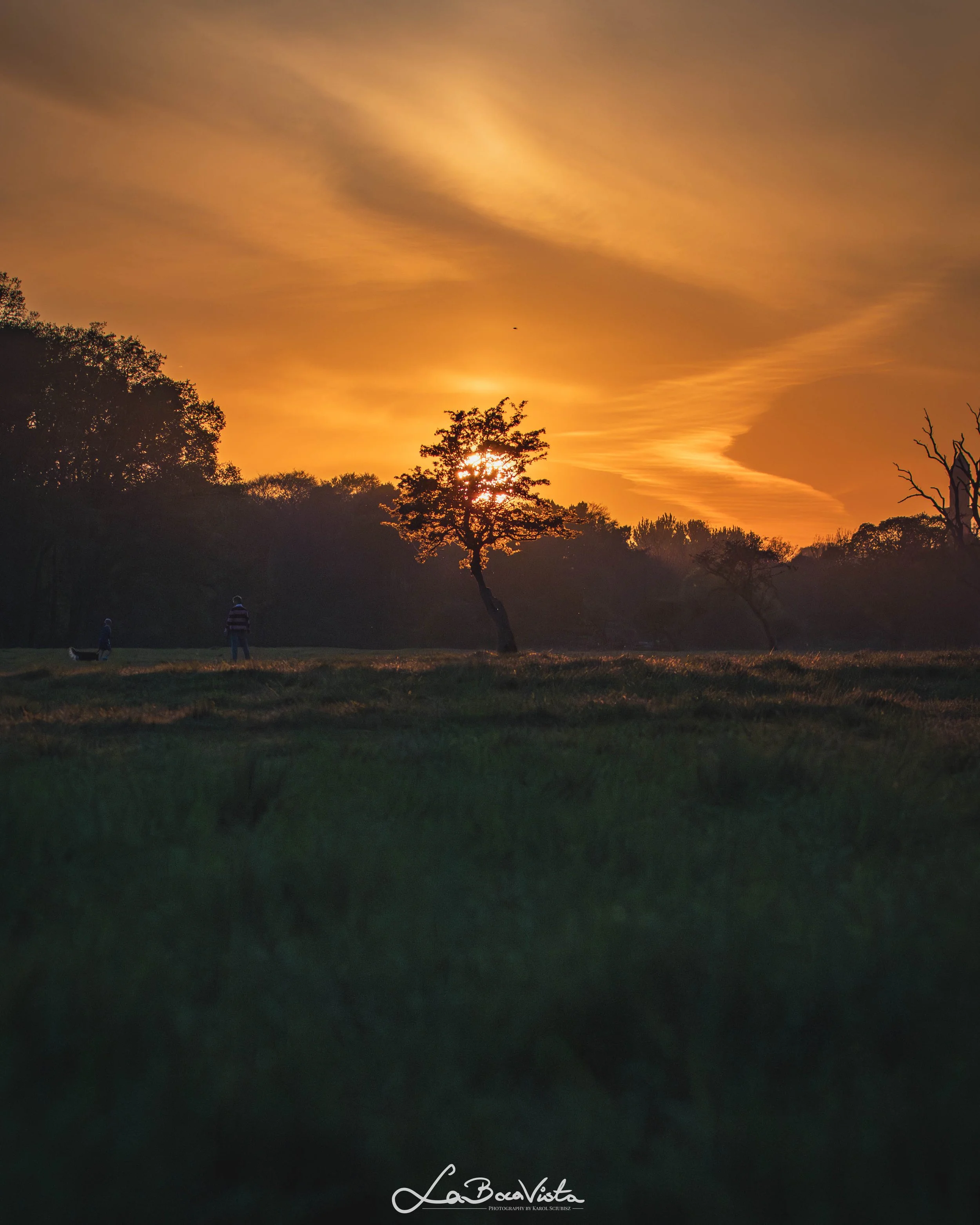 PhoenixPark_25.jpg