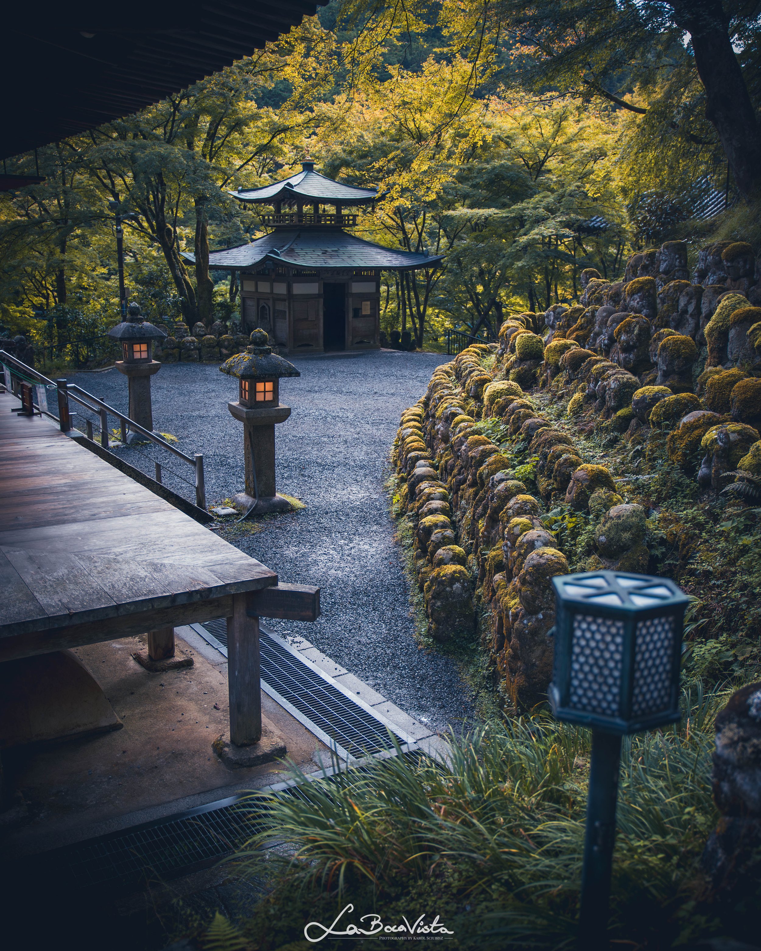 IMG_5314-Enhanced-NR Copy_kyoto.jpg