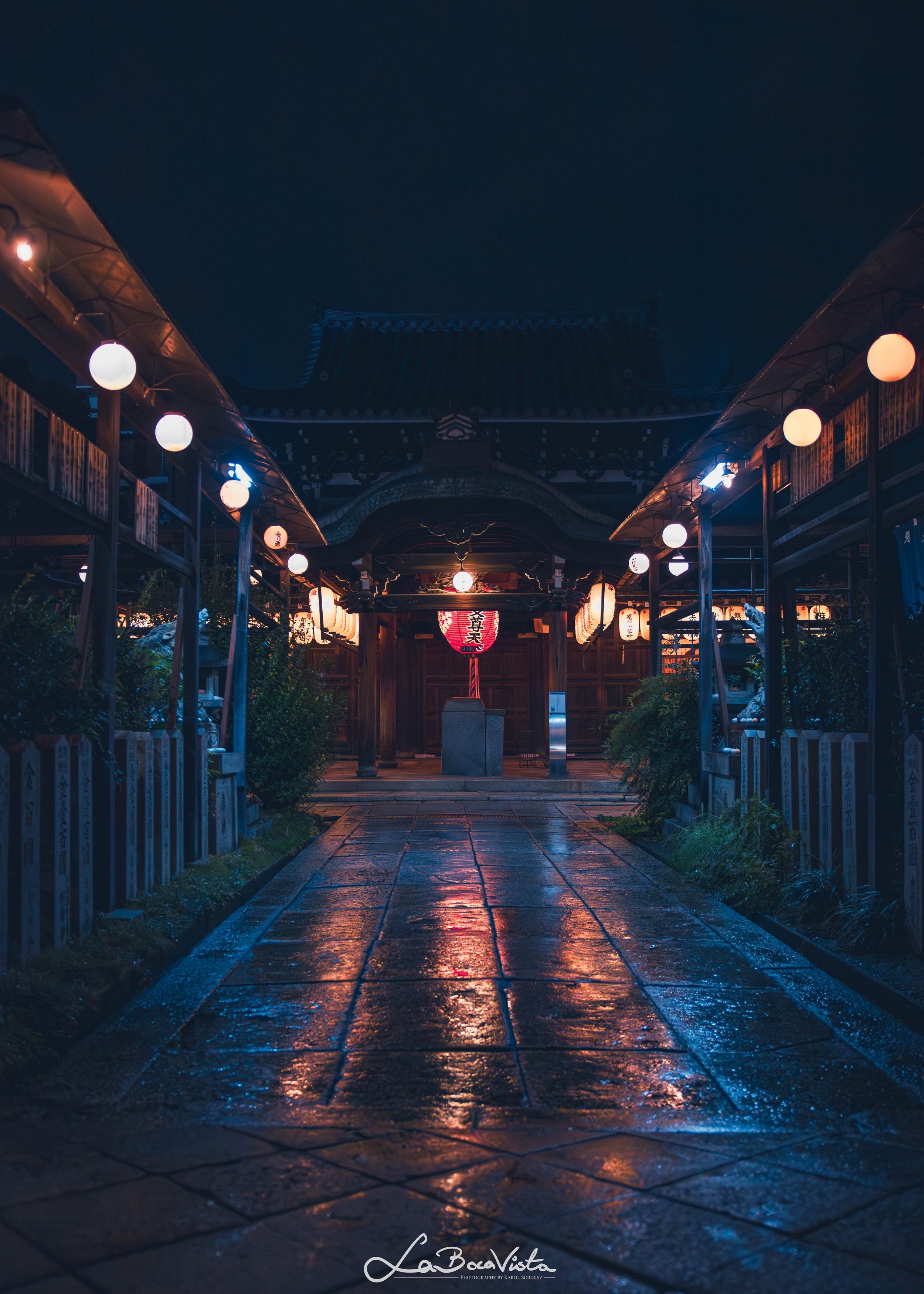 IMG_5968-Enhanced-NR_kyoto.jpg