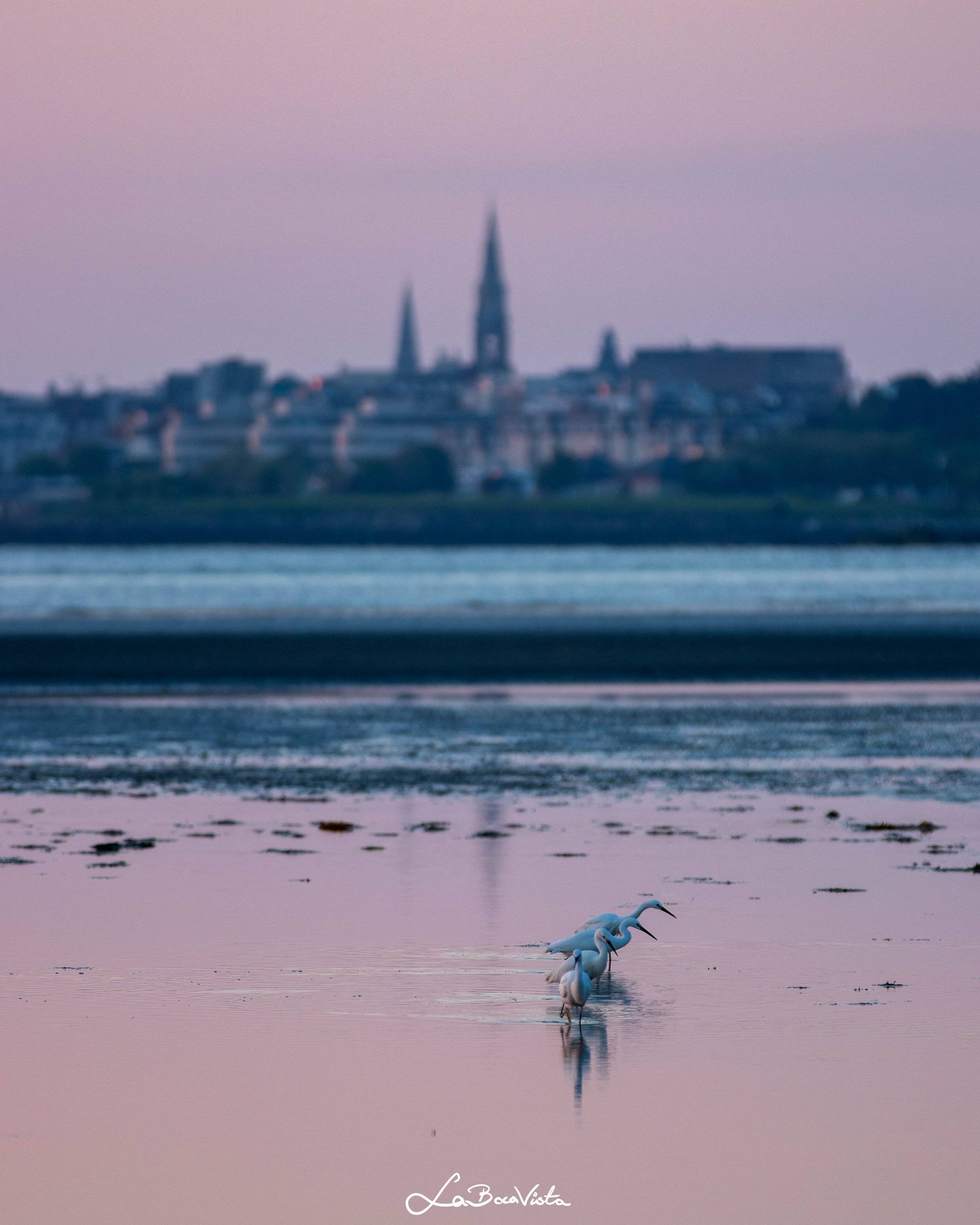 Poolbeg_47.jpg