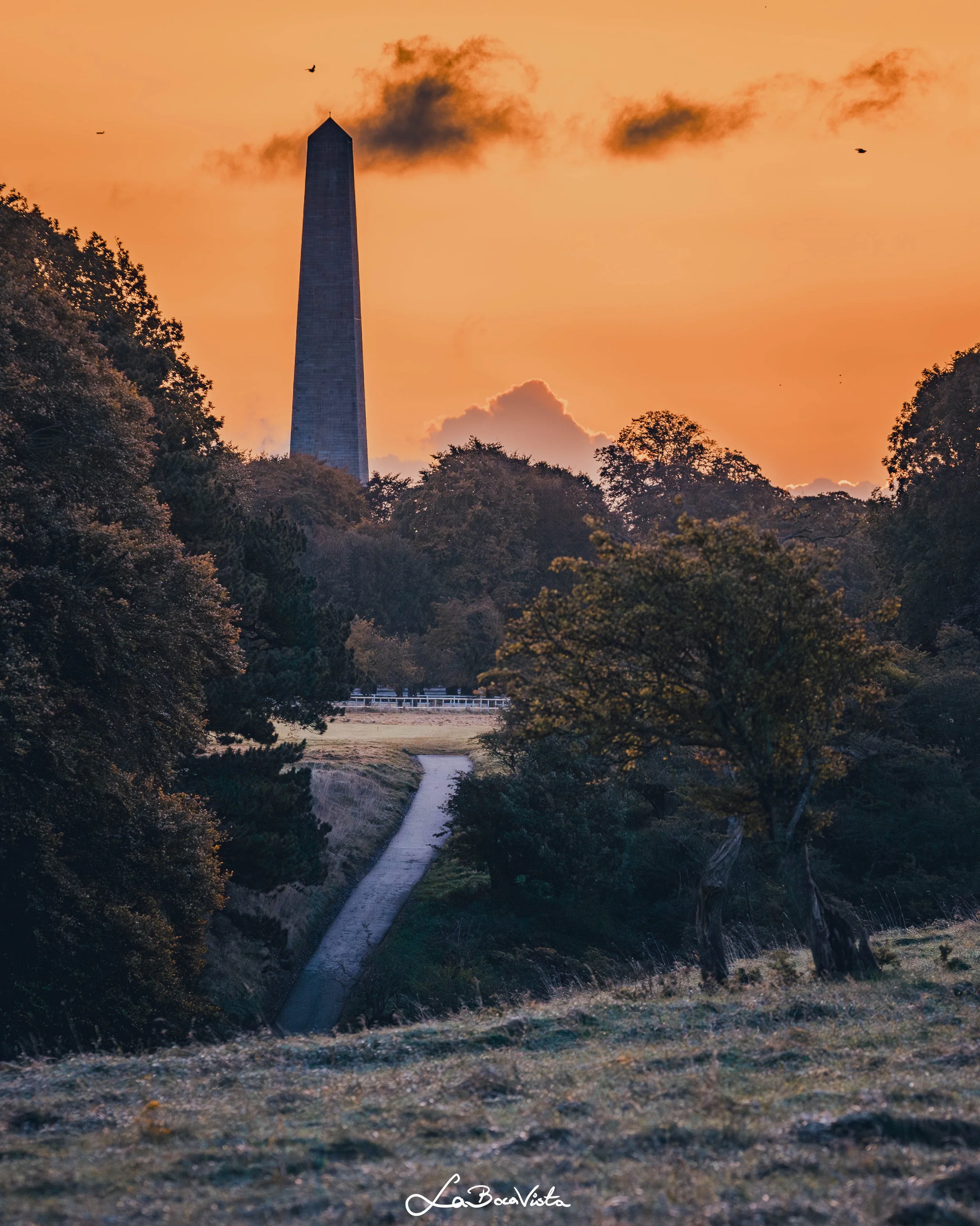 PhoenixPark_35.jpg
