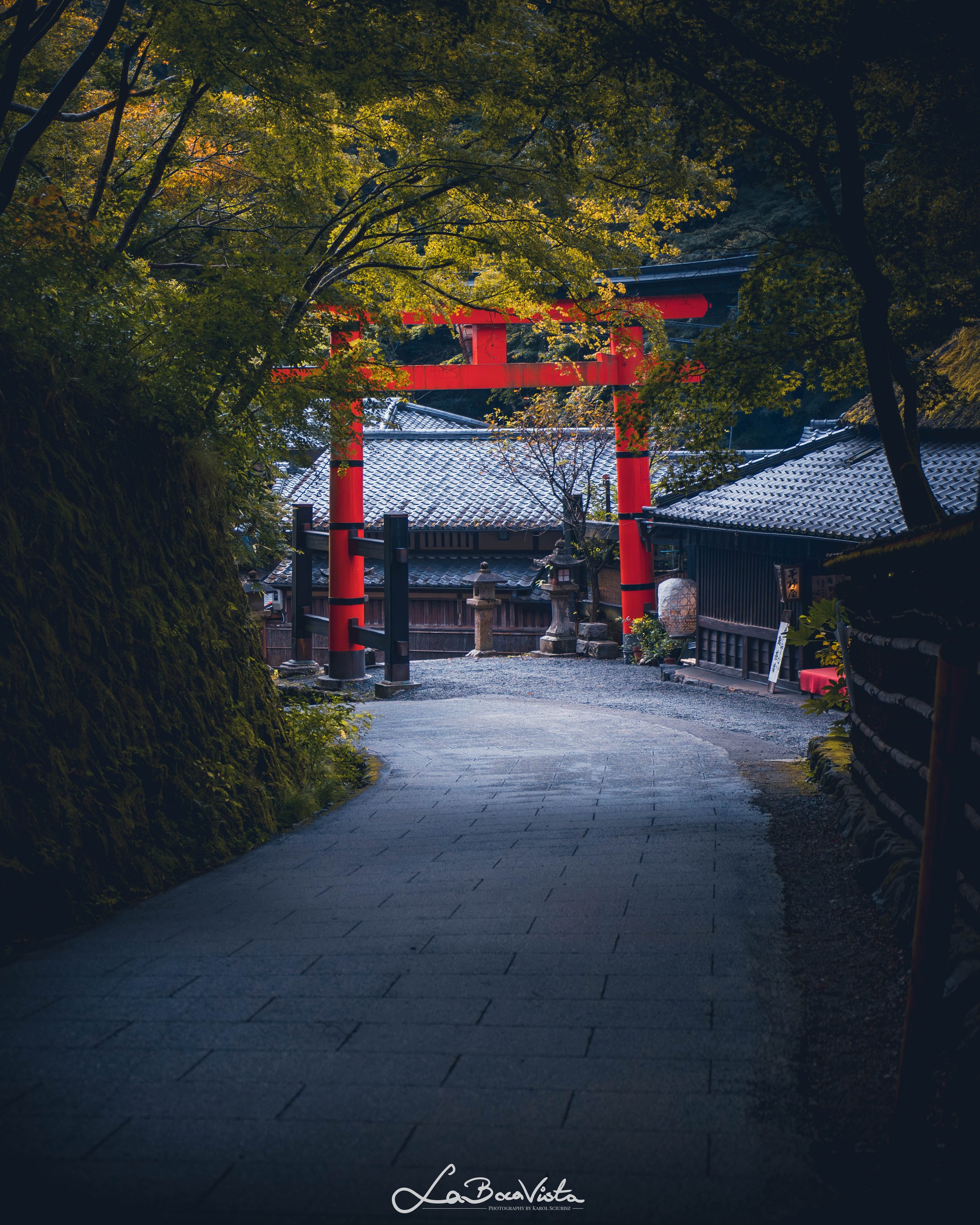 IMG_5389-Enhanced-NR_kyoto.jpg