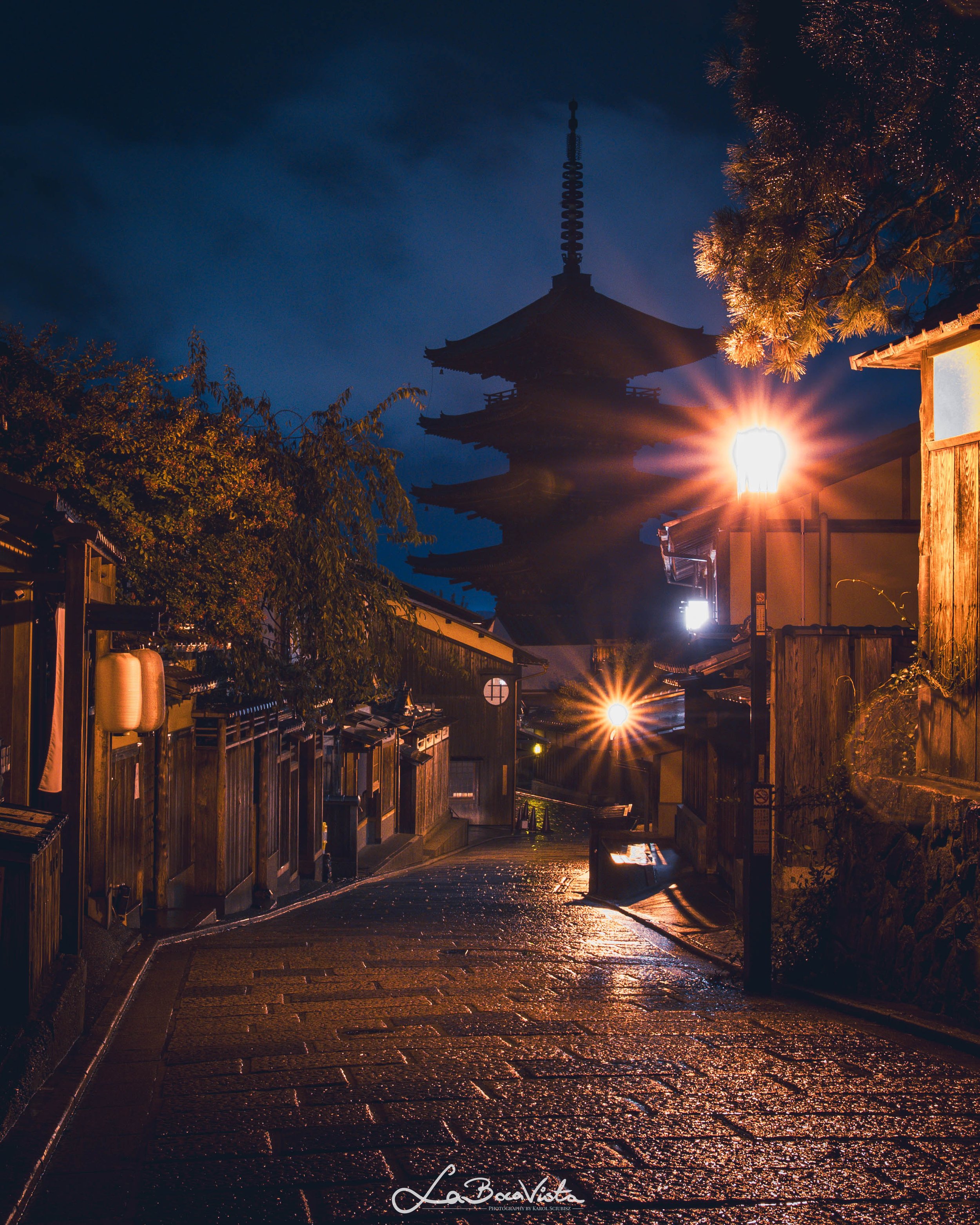 Copy of IMG_6836_kyoto.jpg