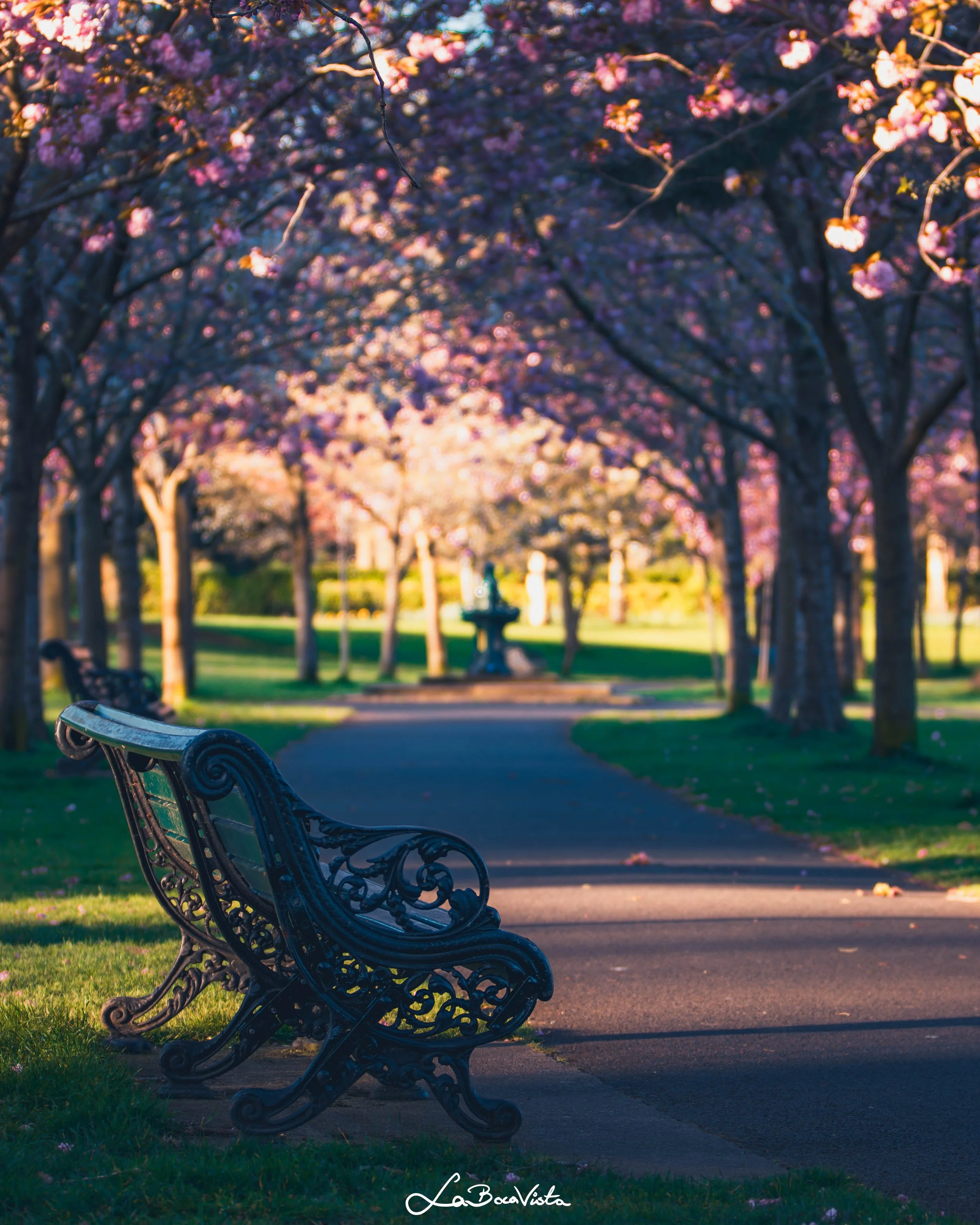 HerbertPark_06.jpg