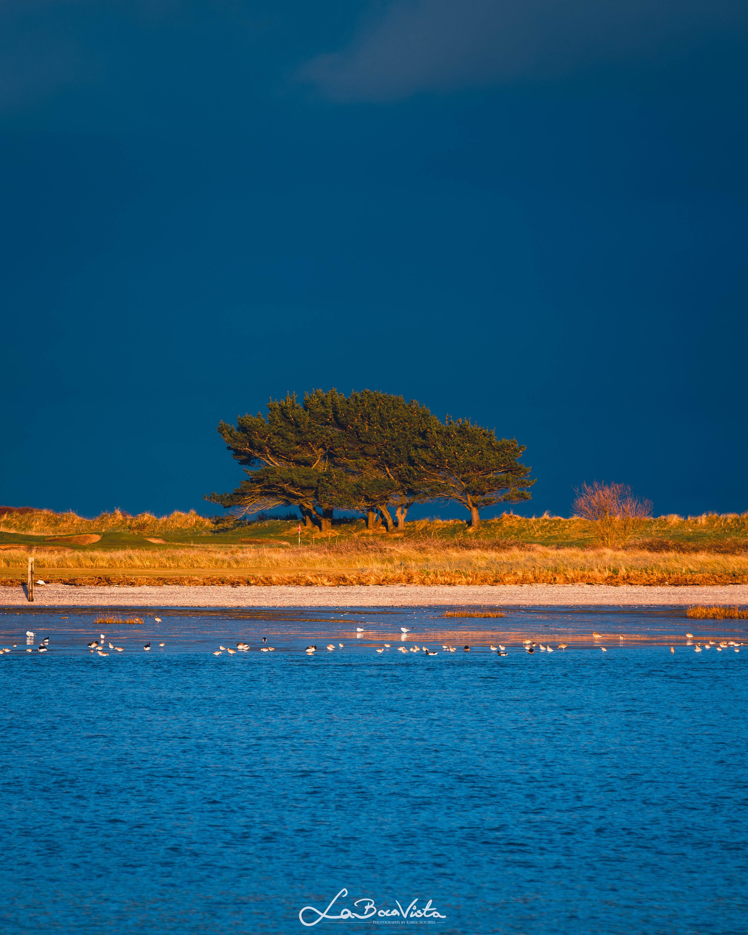 Howth_18.jpg