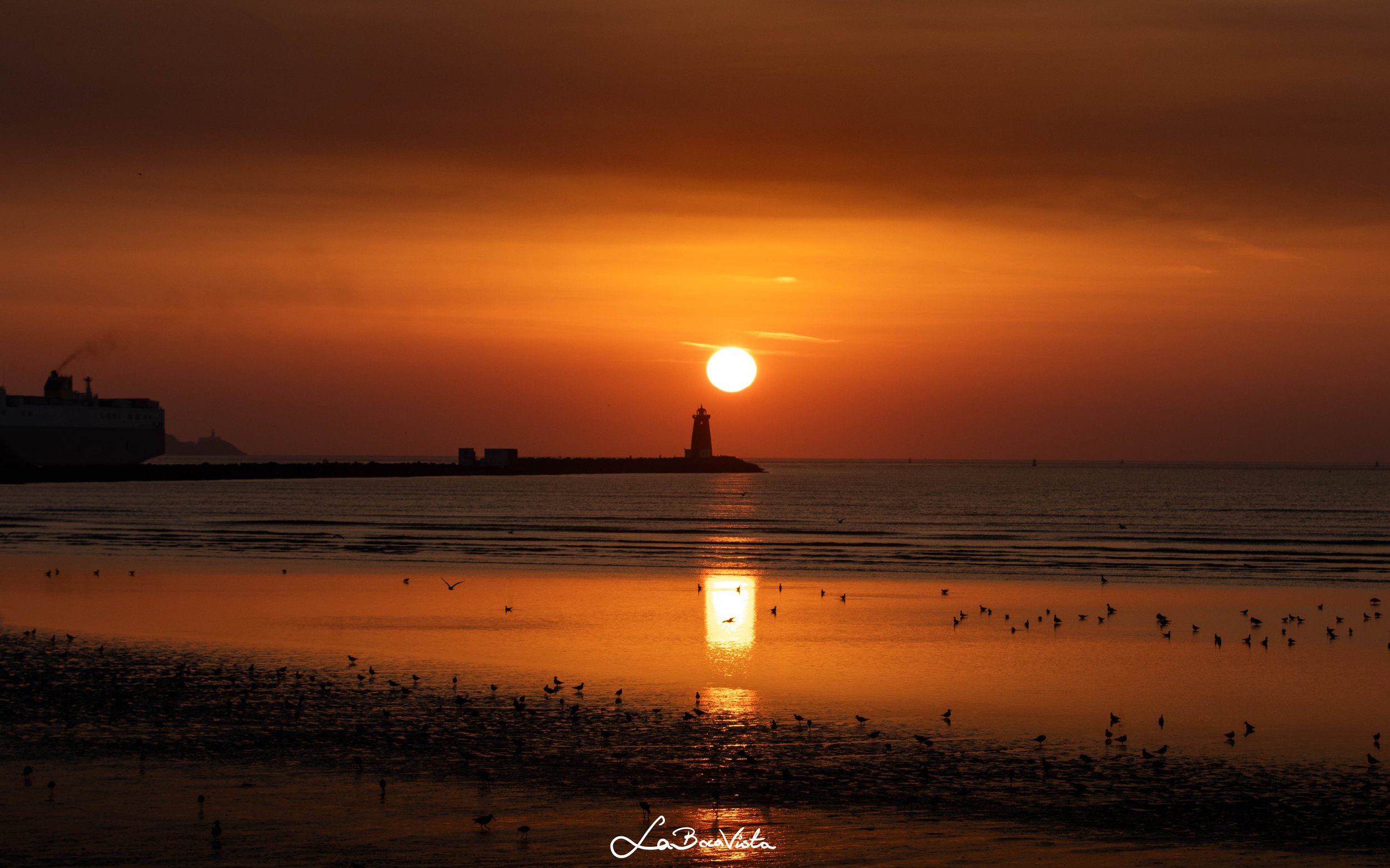 Poolbeg_50.jpg