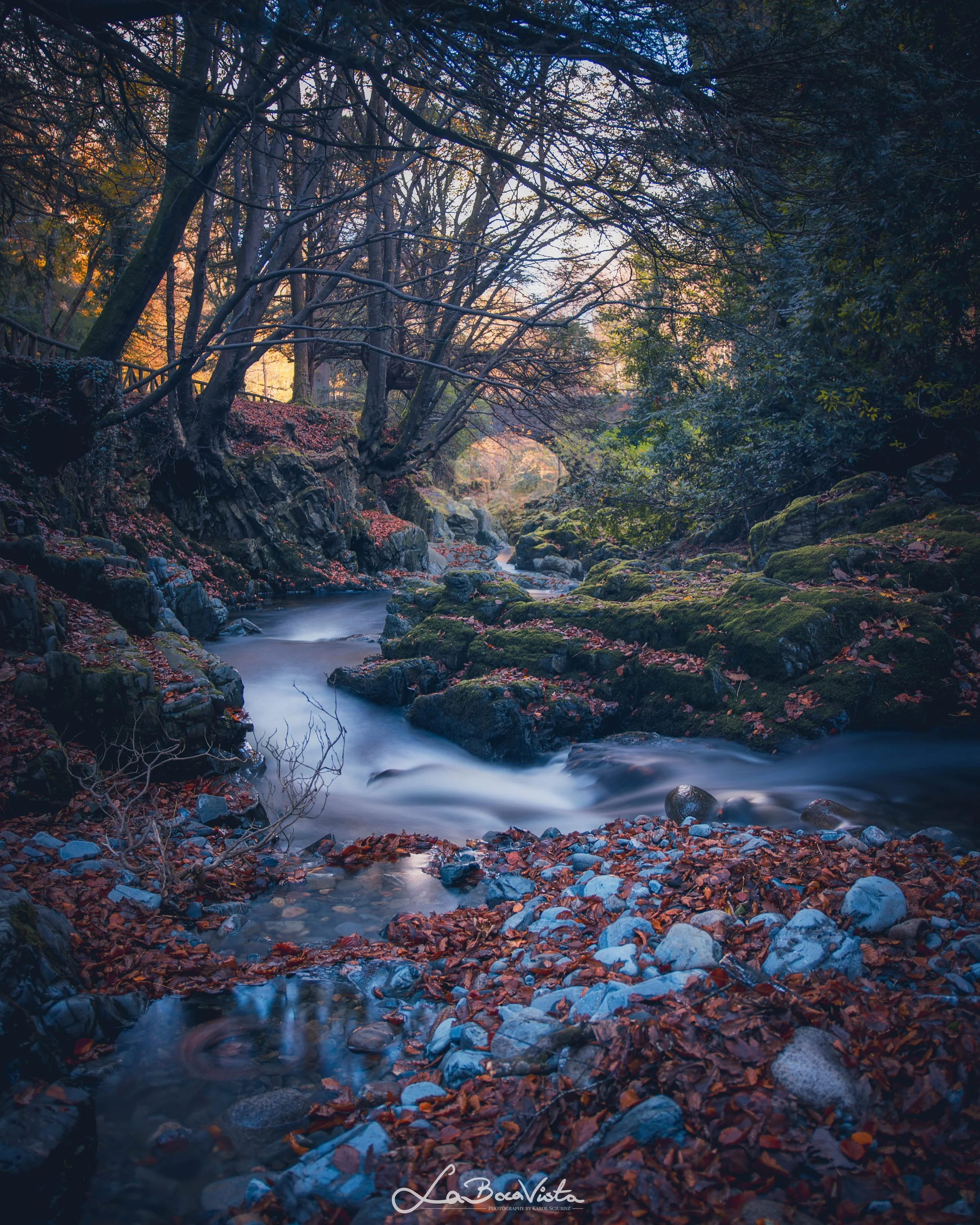 mourne_19.jpg
