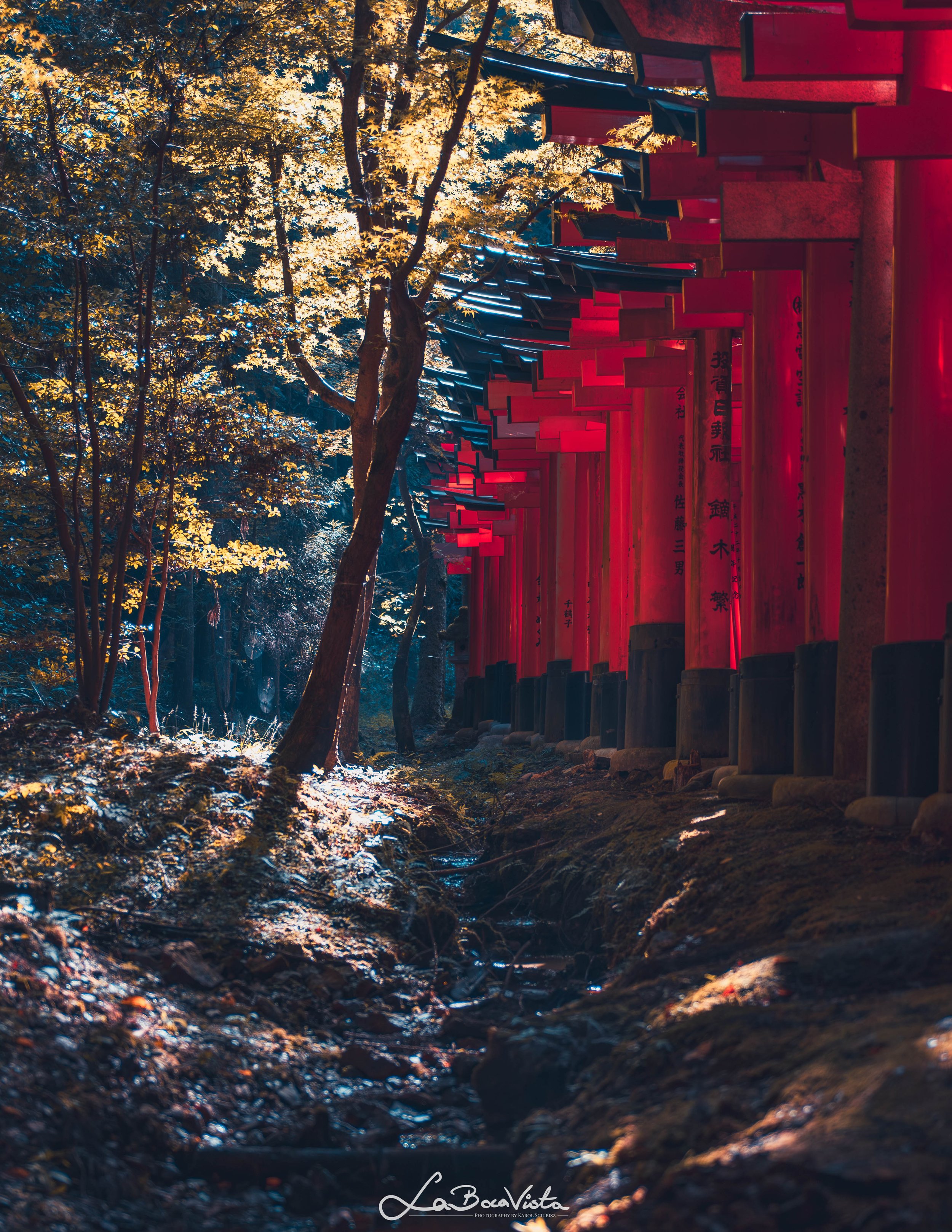 IMG_4196-Enhanced-NR_kyoto.jpg