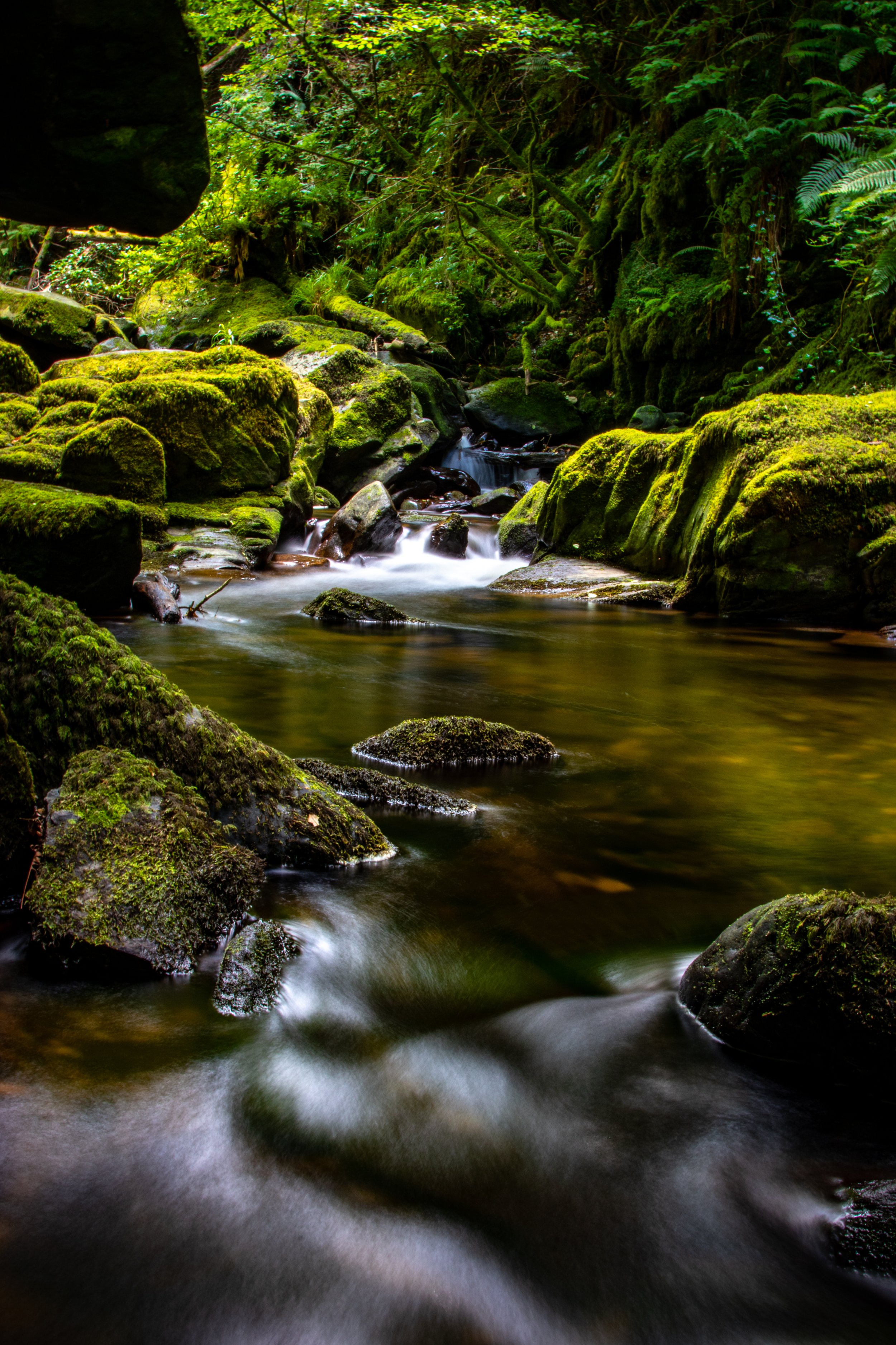 killarney_27.jpg