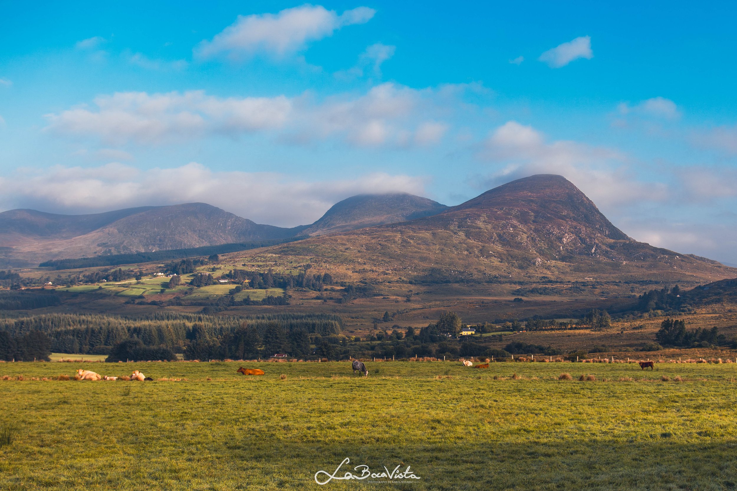 killarney_09.jpg