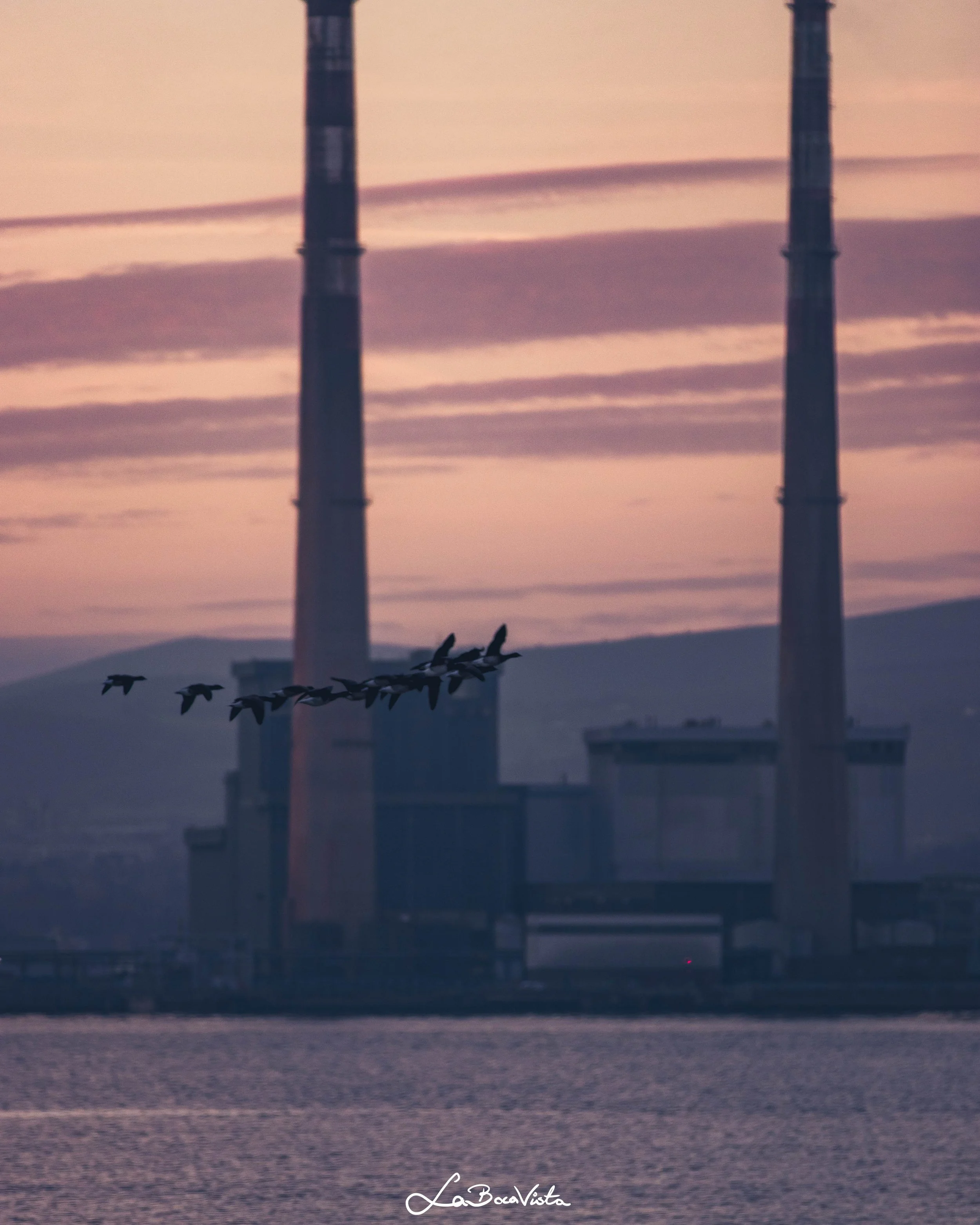Clontarf_27.jpg