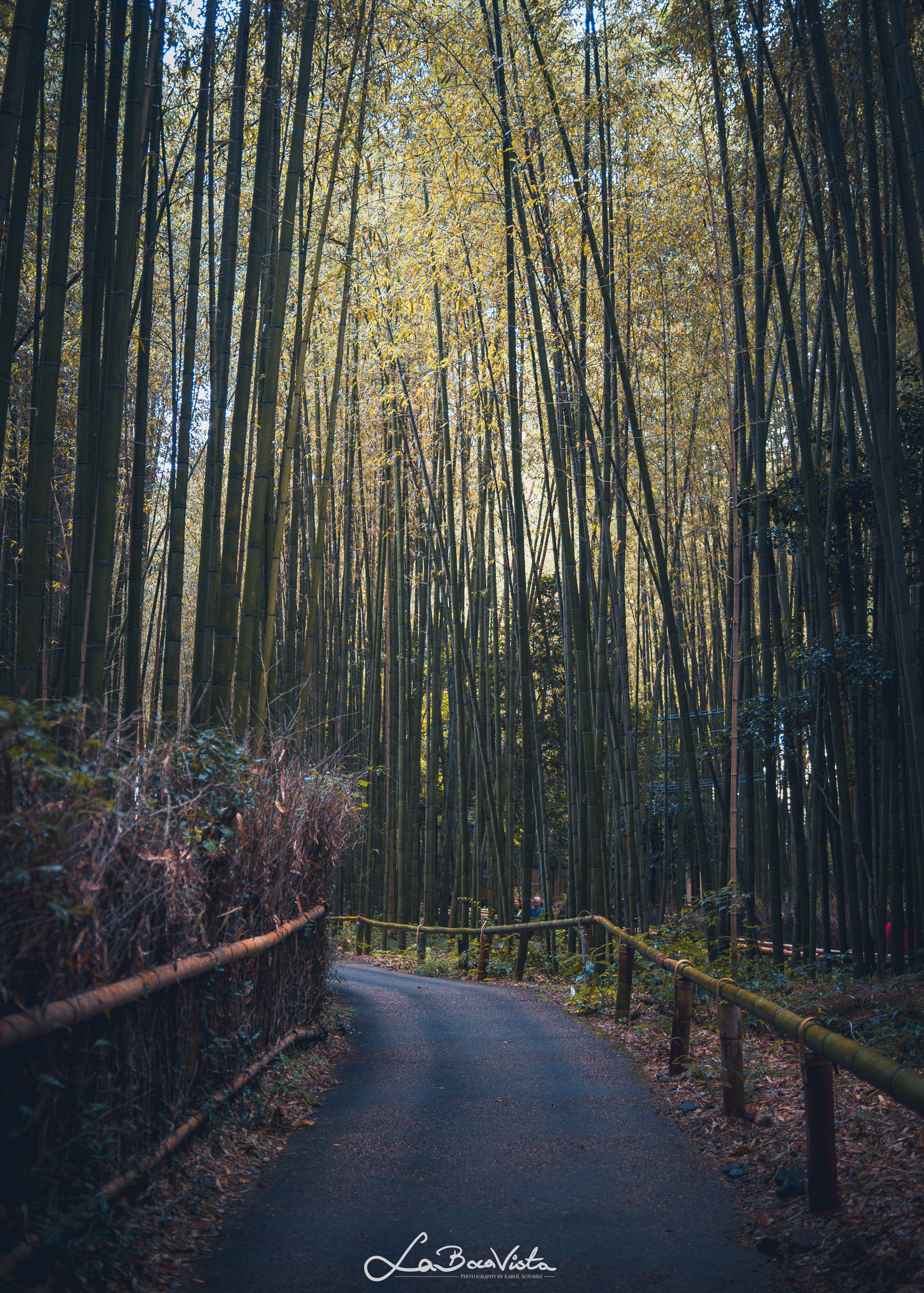 IMG_5056_kyoto.jpg