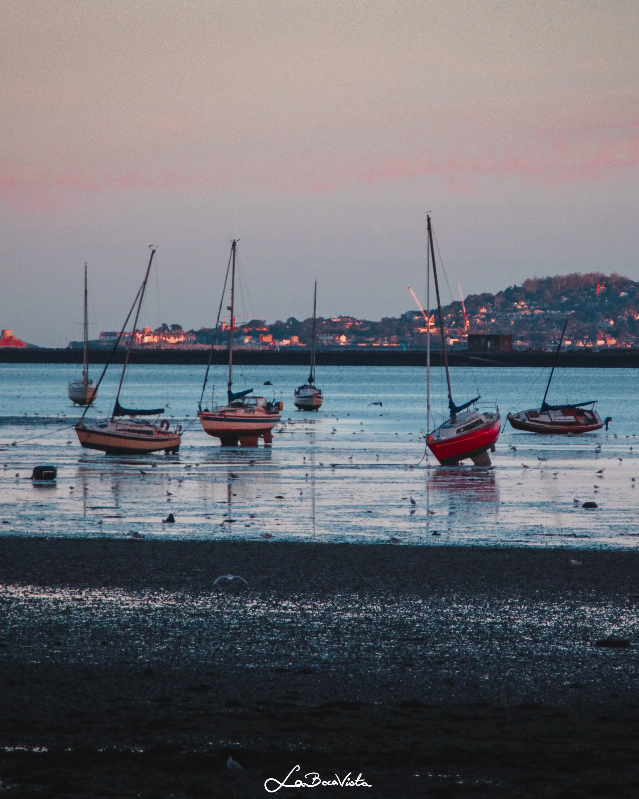 Clontarf_67.jpg