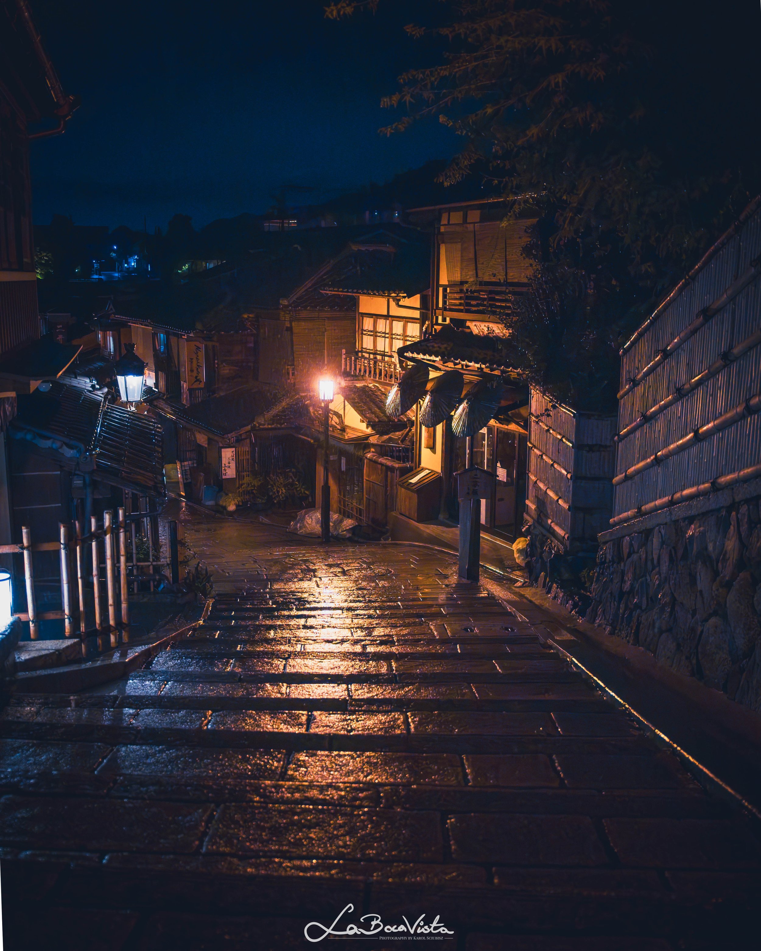 IMG_6775-HDR-Enhanced-NR_kyoto.jpg