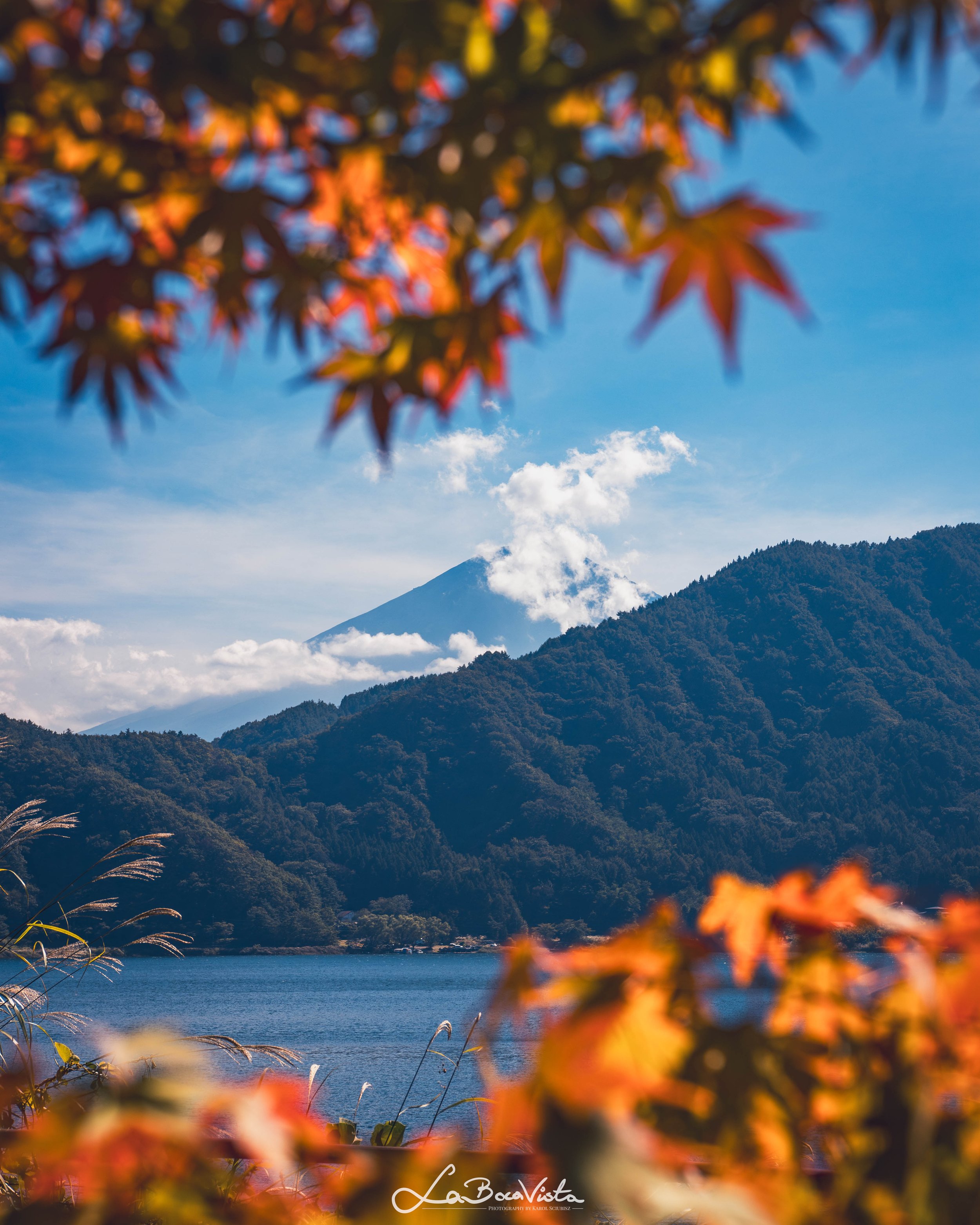 IMG_1366-Enhanced-NR_kawaguchiko.jpg