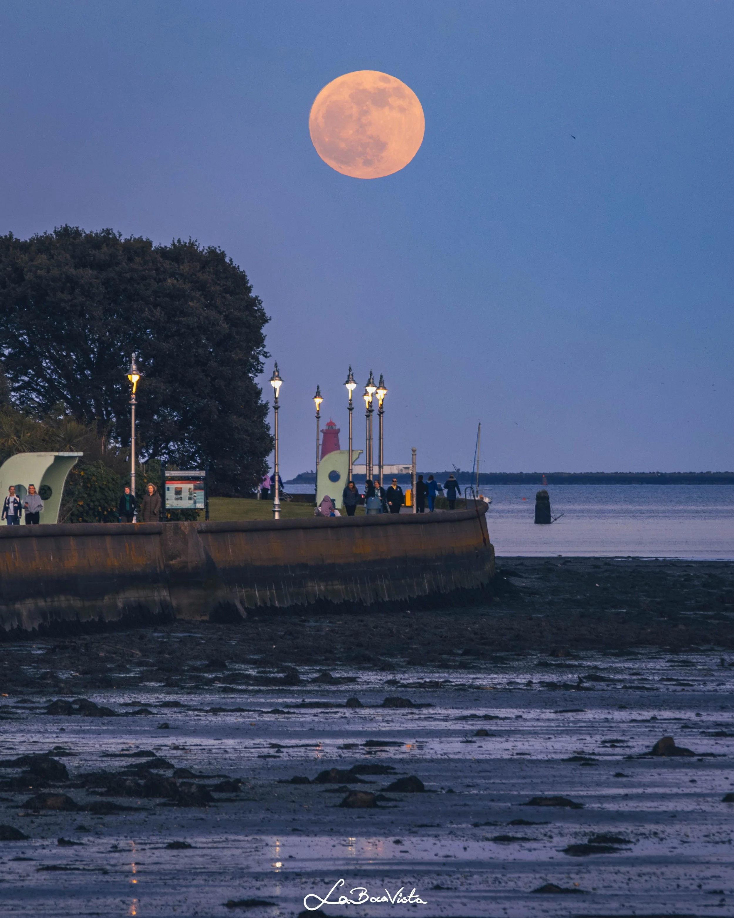 Clontarf_29.jpg