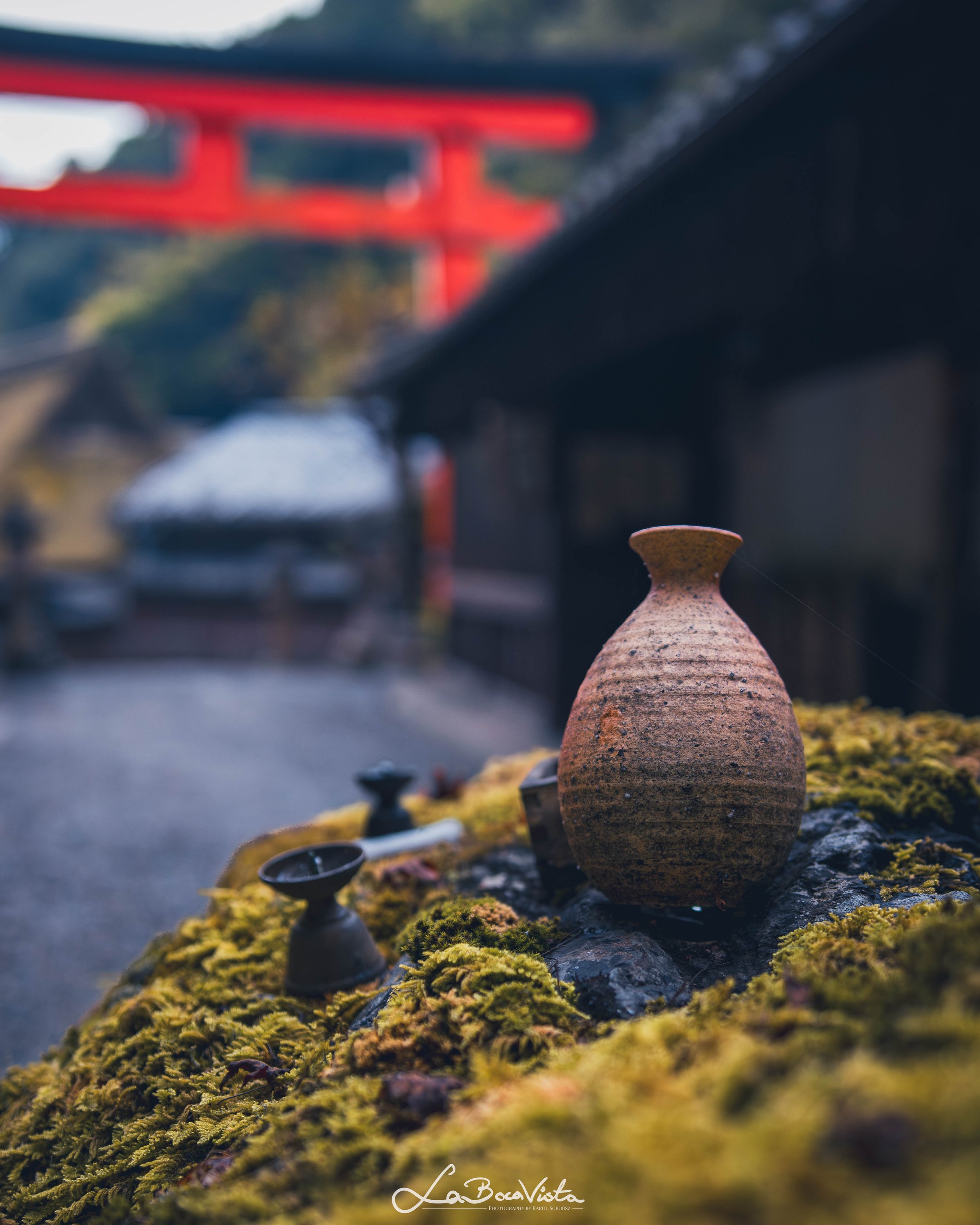 IMG_5186-Enhanced-NR_kyoto.jpg